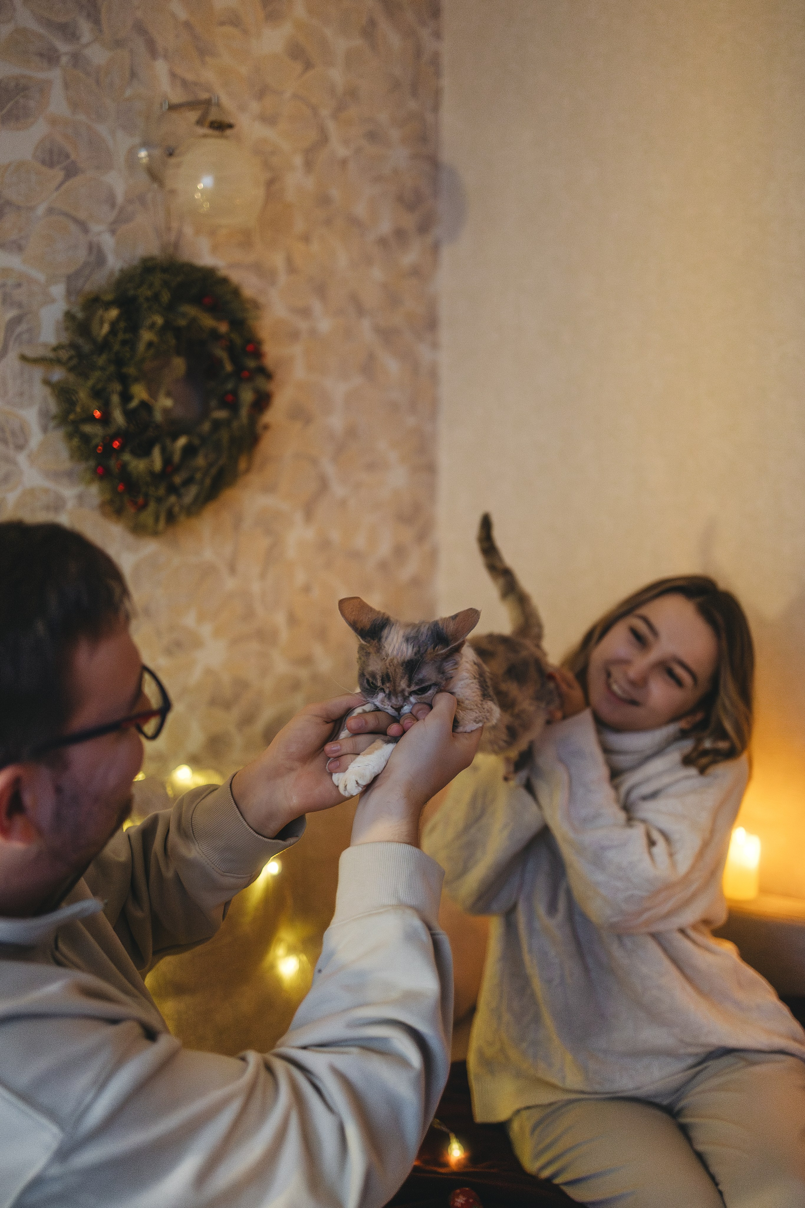 Домашняя новогодняя. Фотограф Анималист в Москве Анастасия Жучкова