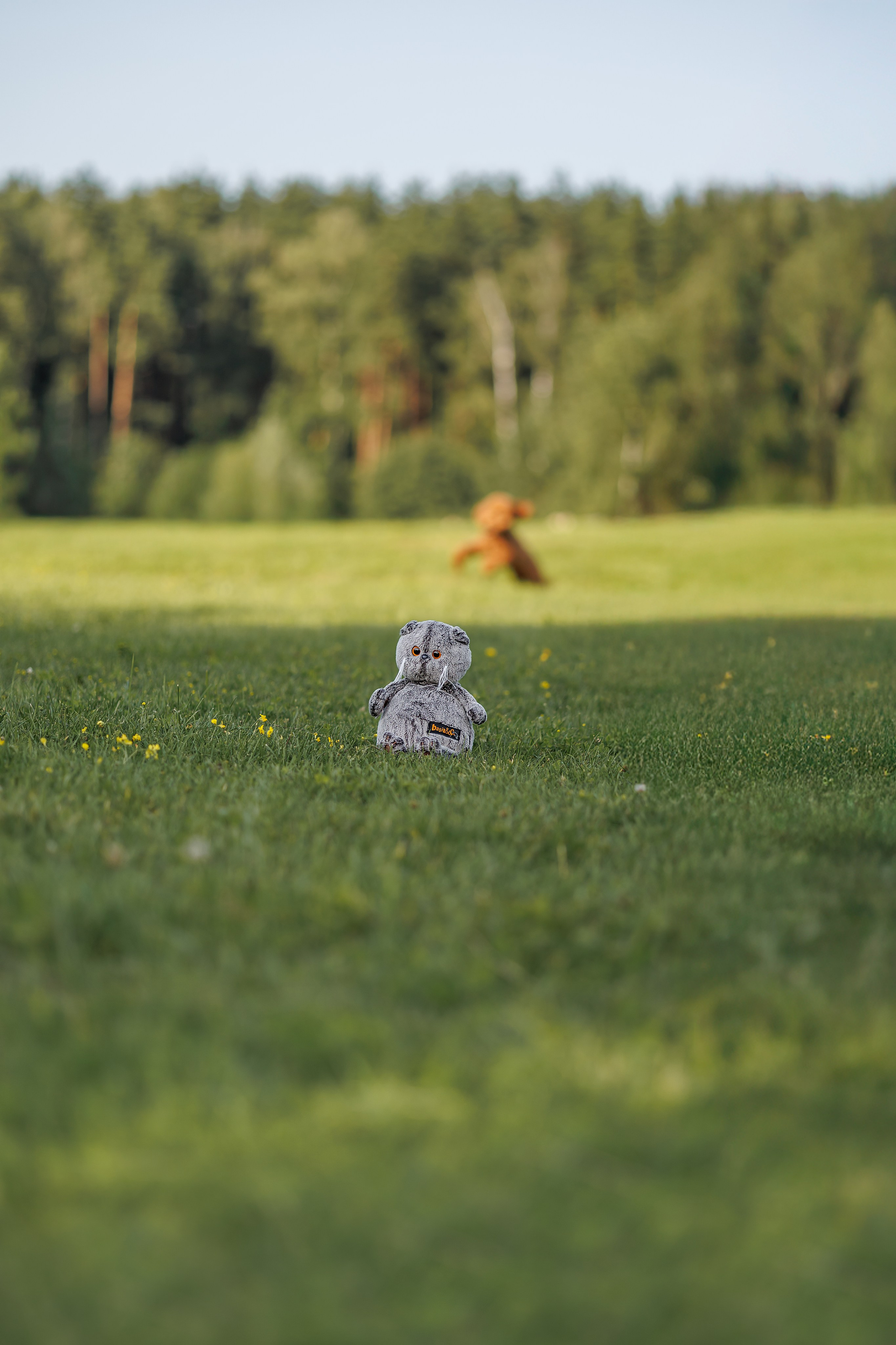 Алина и Лариса. Фотограф Анималист в Москве Анастасия Жучкова