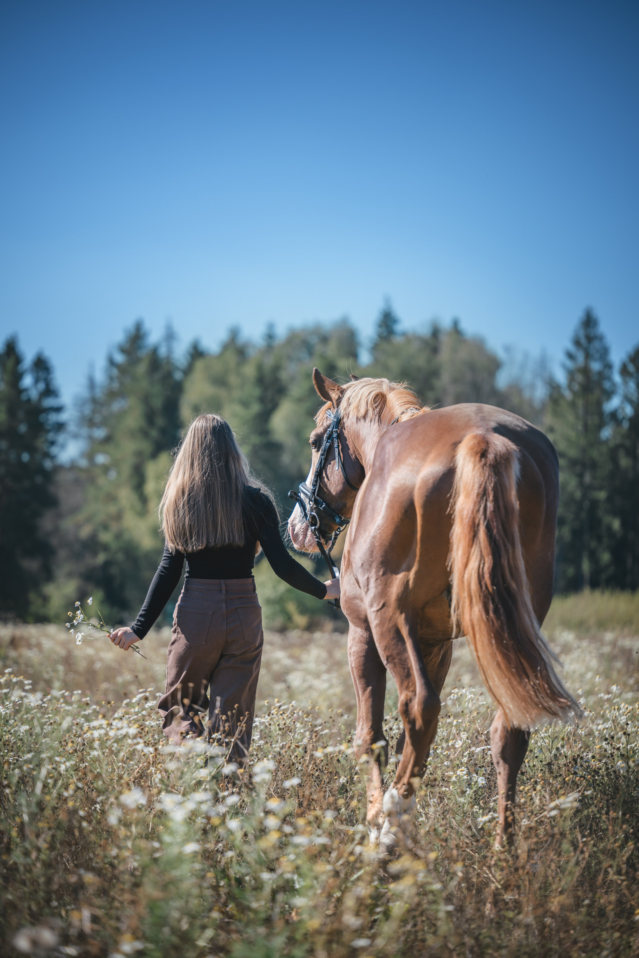 Виктория и Лео. Фотограф Анималист в Москве Анастасия Жучкова