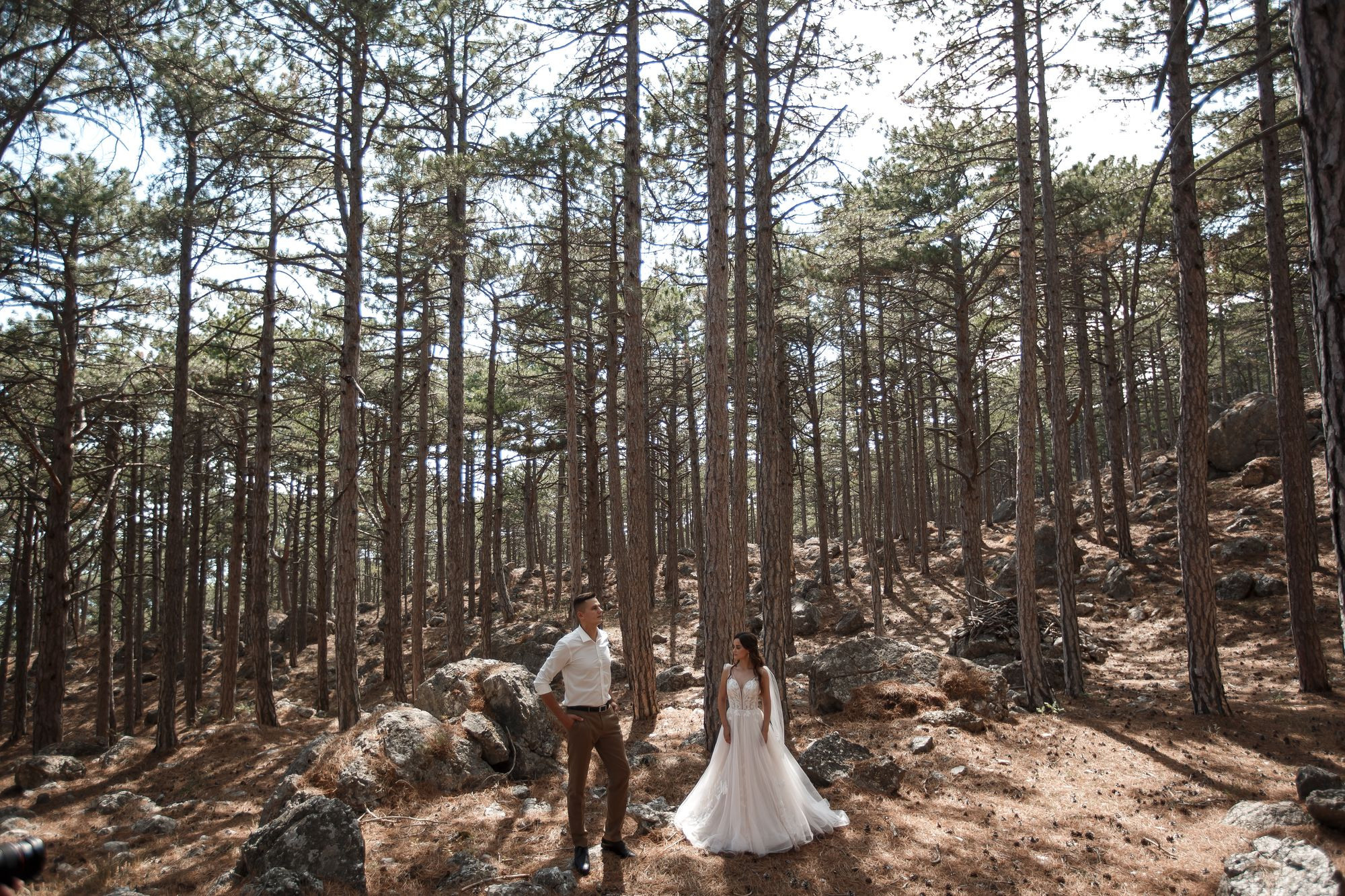 Свадебная прогулка в лесу. Свадебный и семейный фотограф в Крыму и Севастополе Дарья Королева