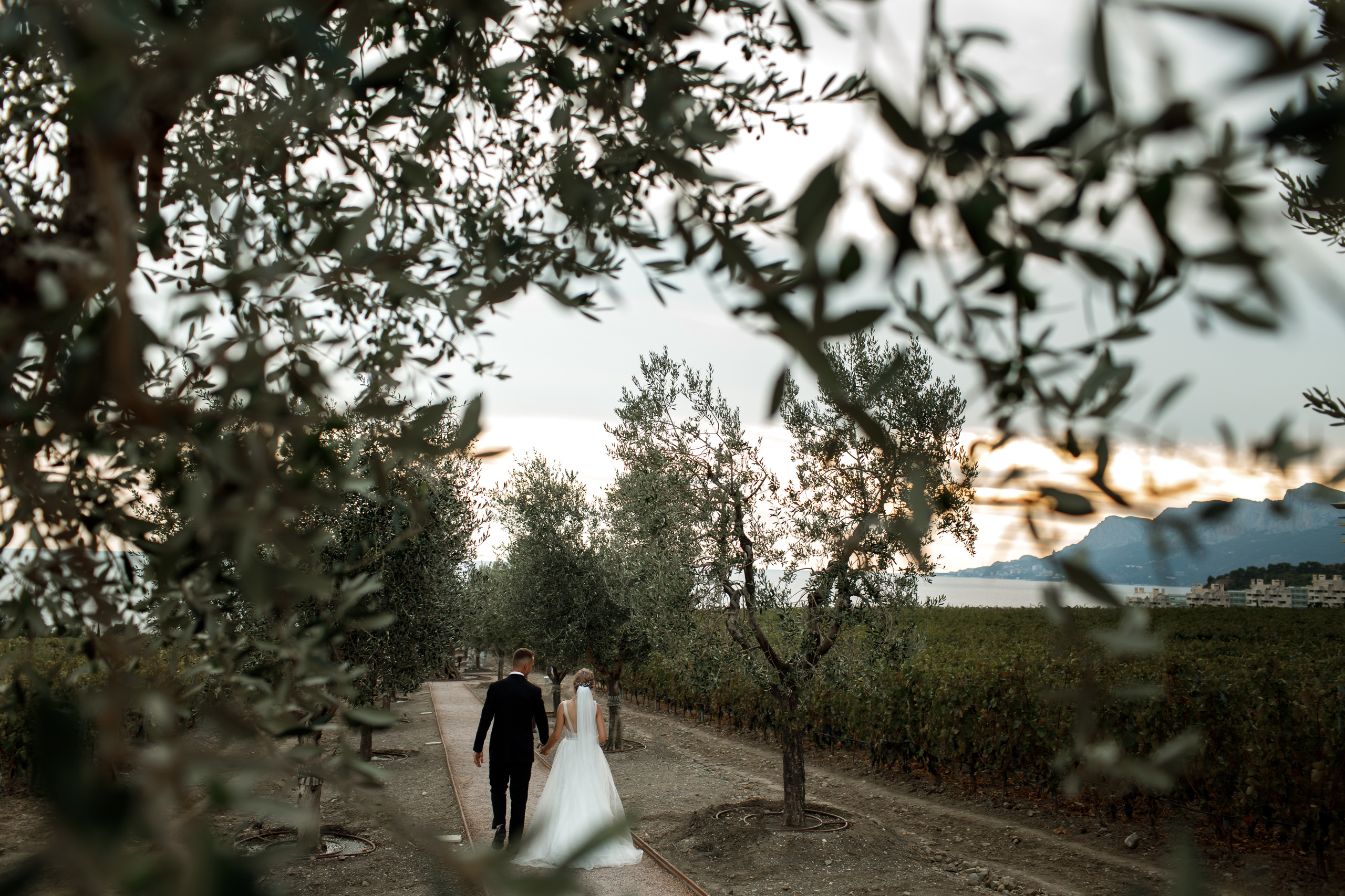 Свадьба в Мрии. Свадебный и семейный фотограф в Крыму и Севастополе Дарья Королева