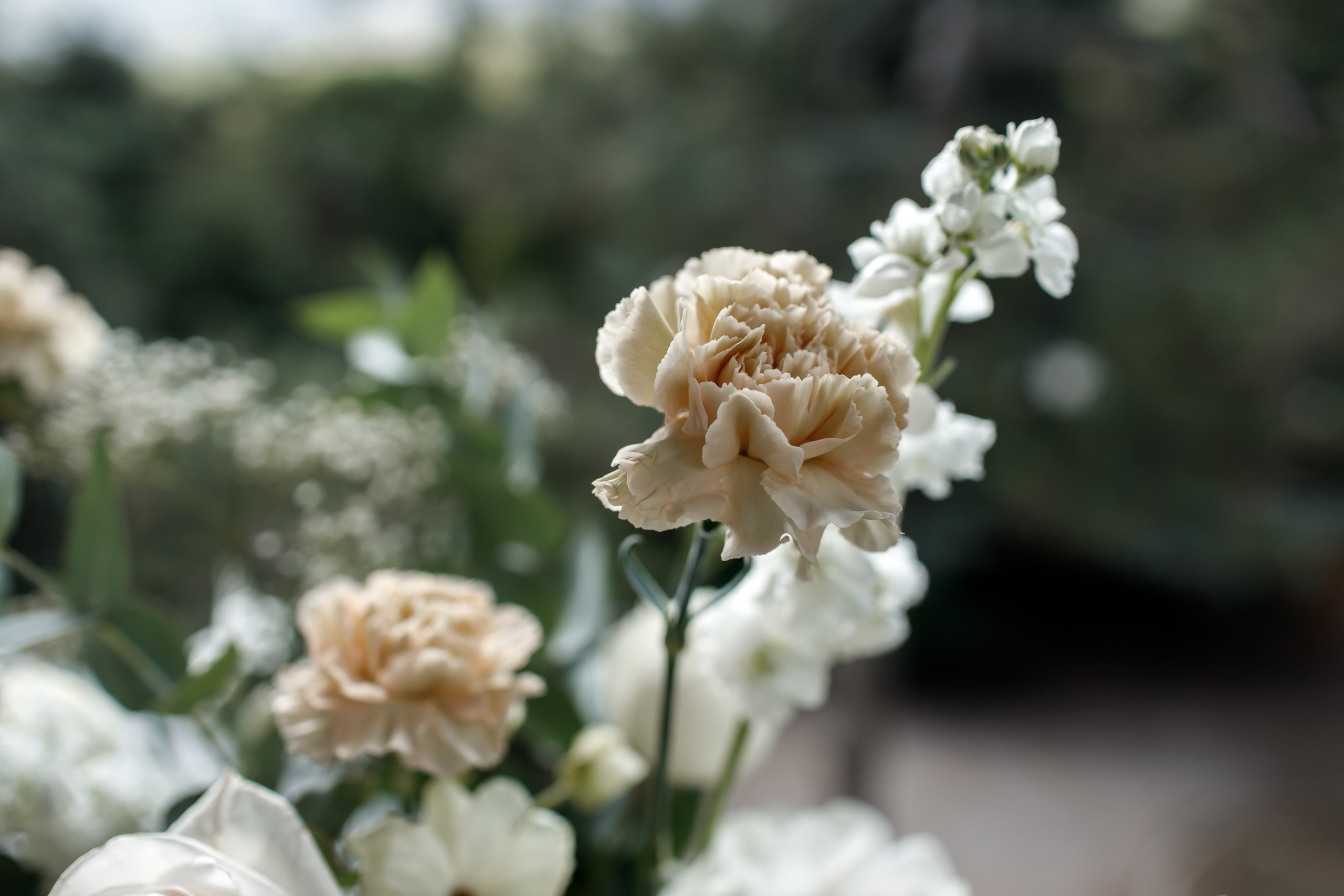 Камерная свадьба Сережи и Марины. Свадебный и семейный фотограф в Крыму и Севастополе Дарья Королева
