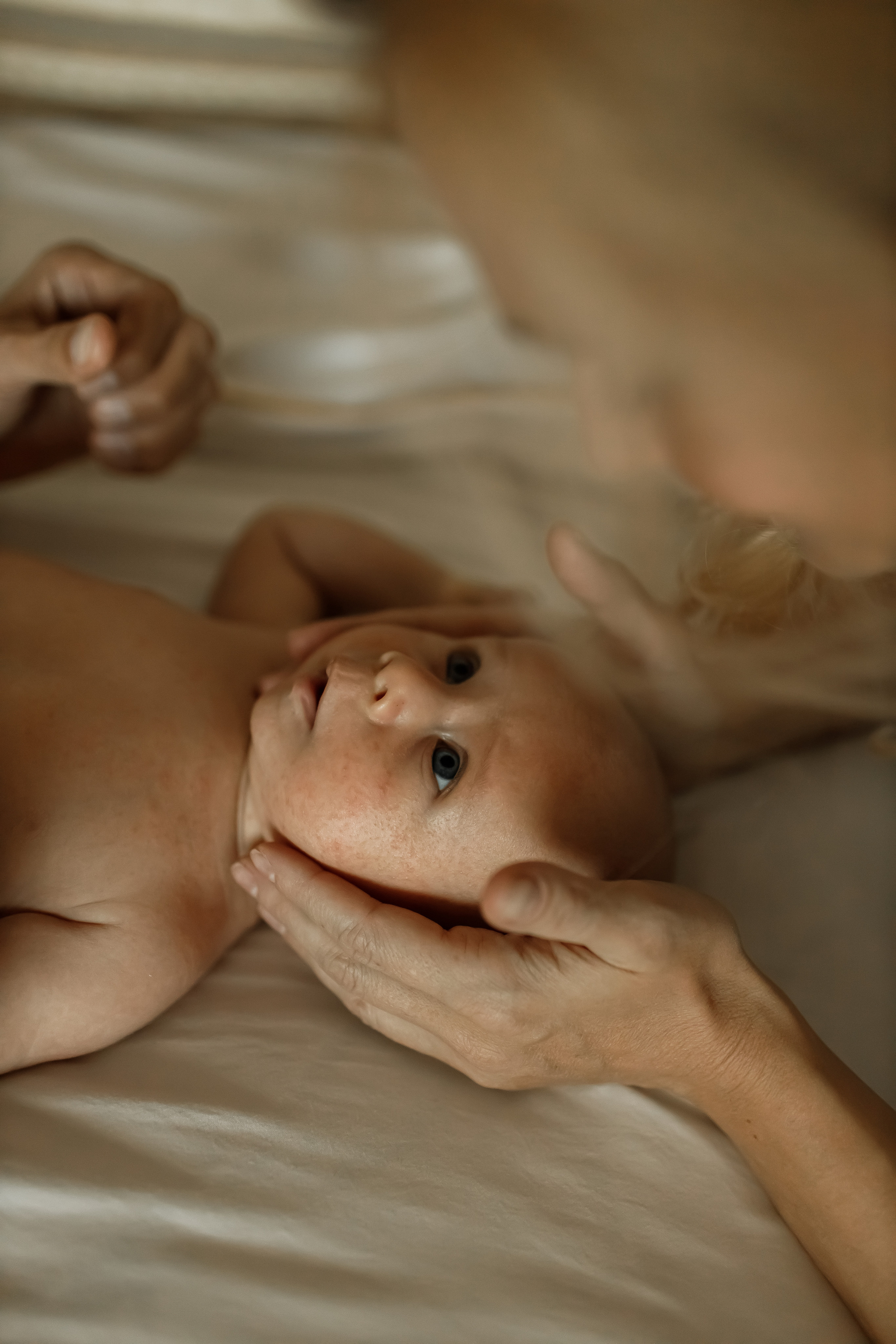 Ярушка и его семья. Свадебный и семейный фотограф в Крыму и Севастополе Дарья Королева