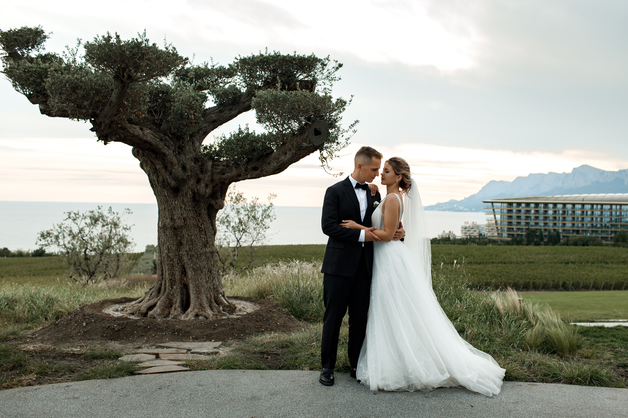 Свадьба в Мрии. Свадебный и семейный фотограф в Крыму и Севастополе Дарья Королева
