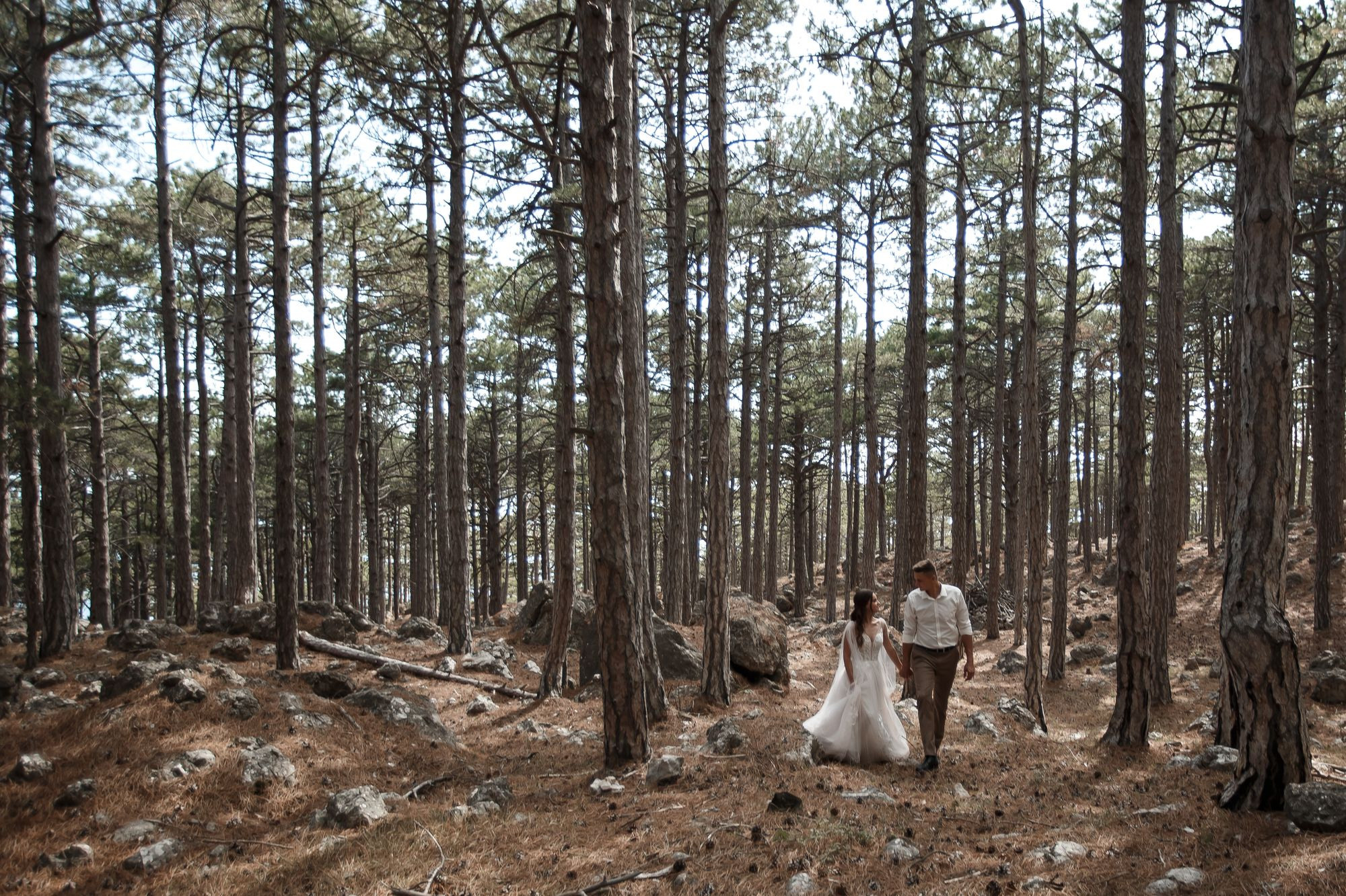 Свадебная прогулка в лесу. Свадебный и семейный фотограф в Крыму и Севастополе Дарья Королева