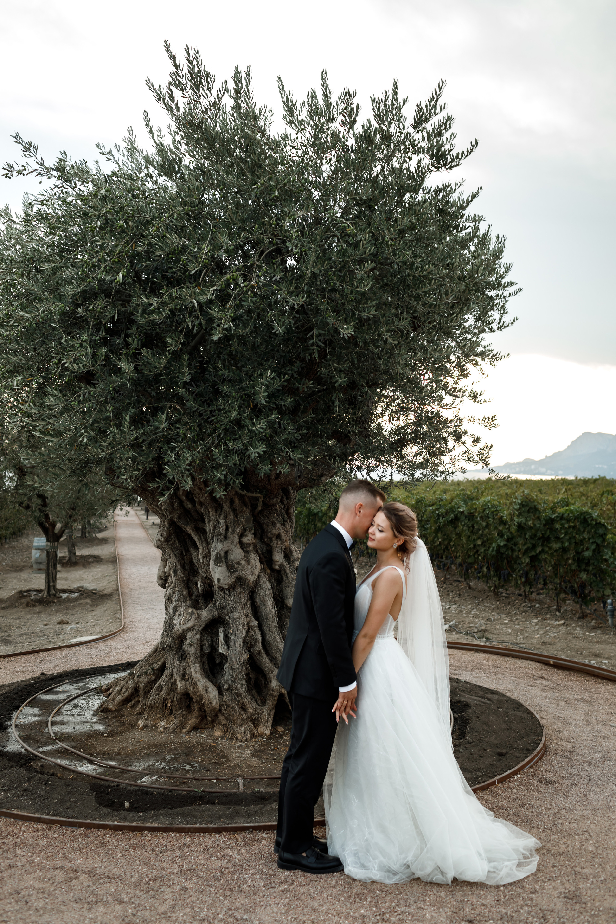 Свадьба в Мрии. Свадебный и семейный фотограф в Крыму и Севастополе Дарья Королева