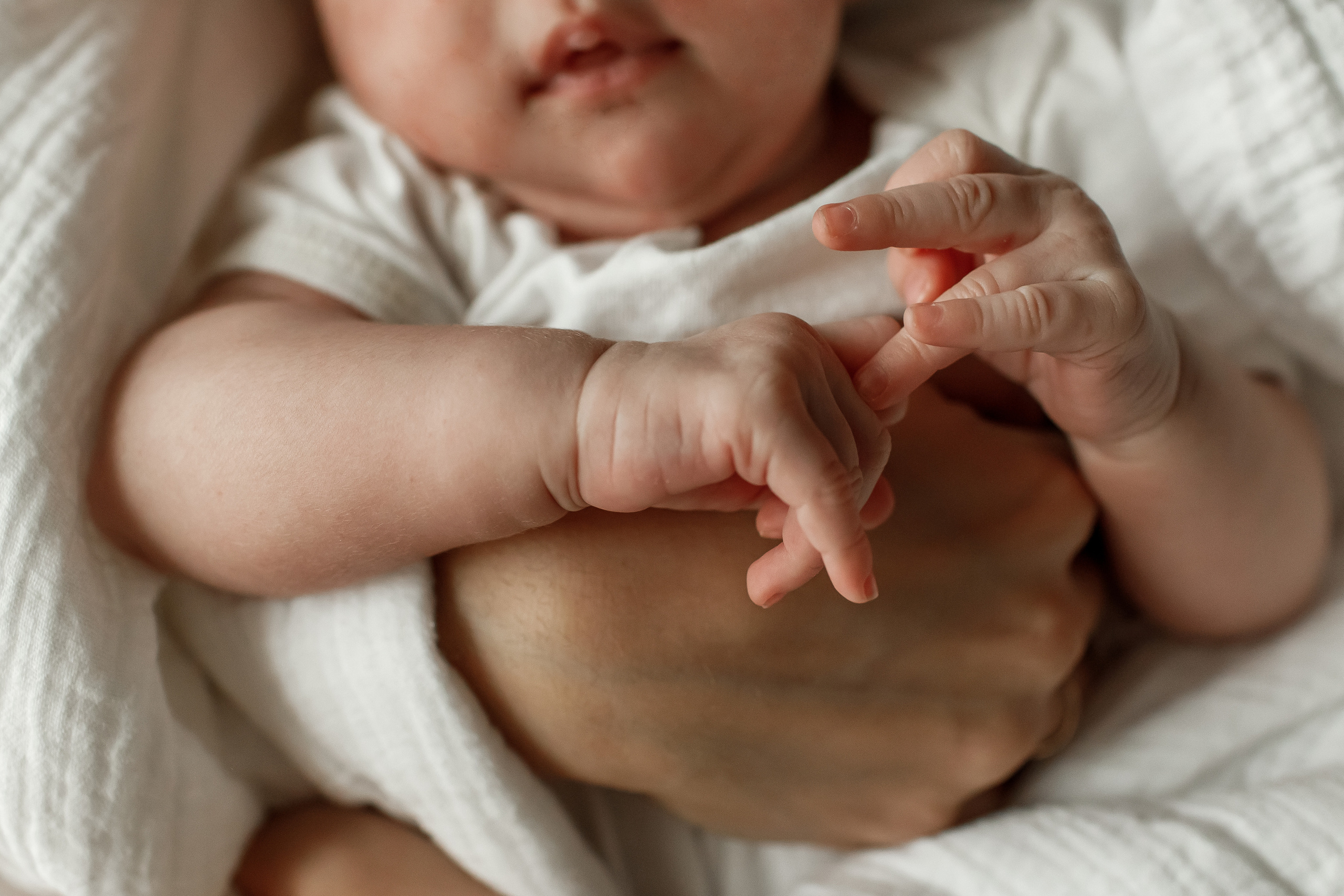 Студийная съёмка. Свадебный и семейный фотограф в Крыму и Севастополе Дарья Королева