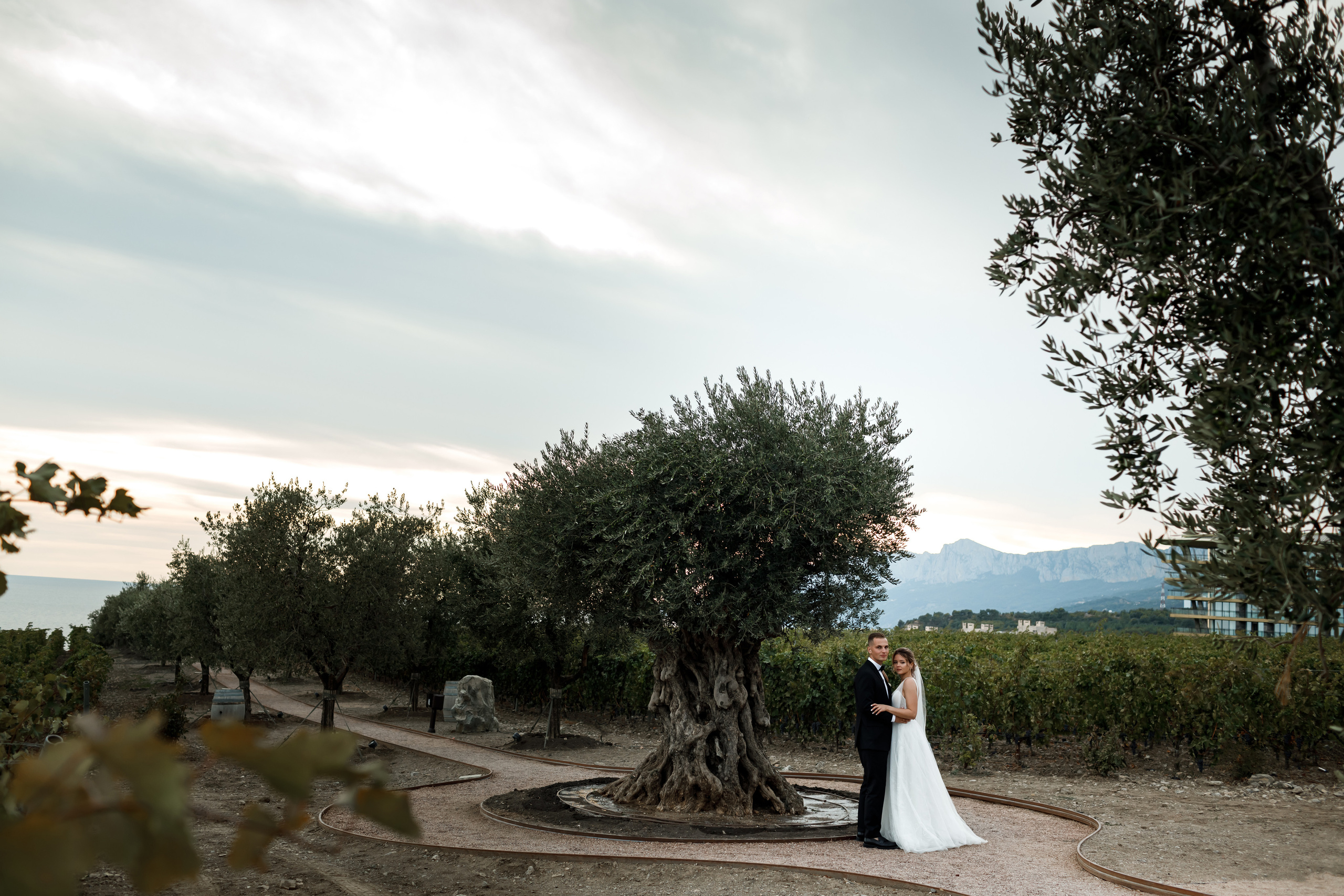 Свадьба в Мрии. Свадебный и семейный фотограф в Крыму и Севастополе Дарья Королева
