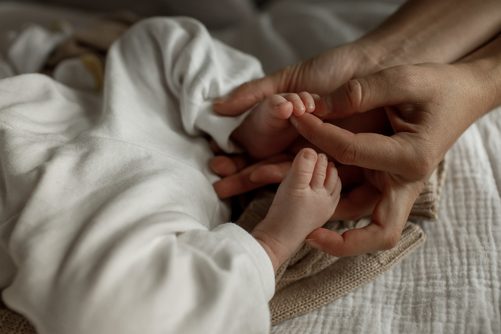 Свадебный и семейный фотограф в Крыму и Севастополе Дарья Королева