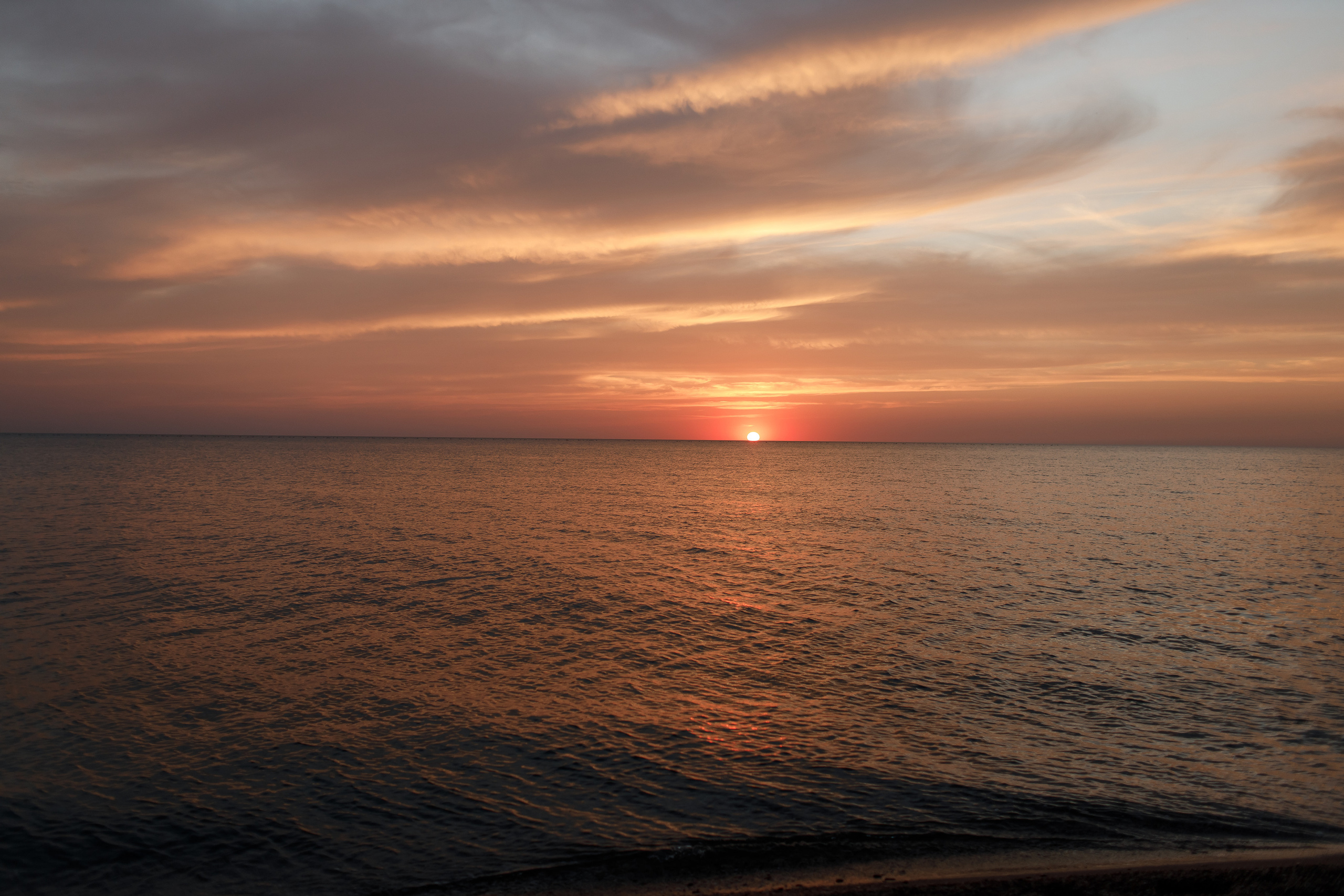 Саша и Оля. Свадебный и семейный фотограф в Крыму и Севастополе Дарья Королева