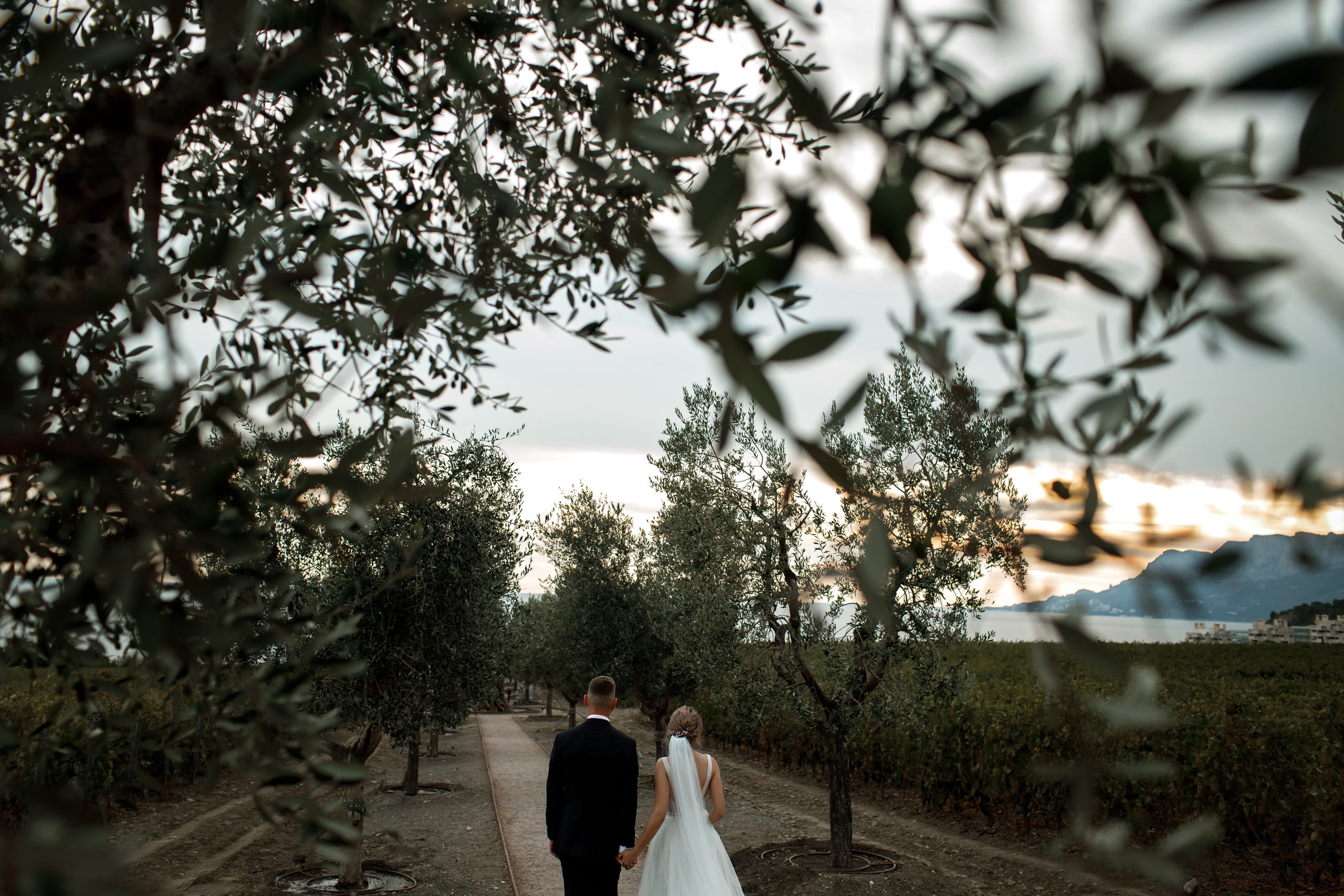 Свадьба в Мрии. Свадебный и семейный фотограф в Крыму и Севастополе Дарья Королева