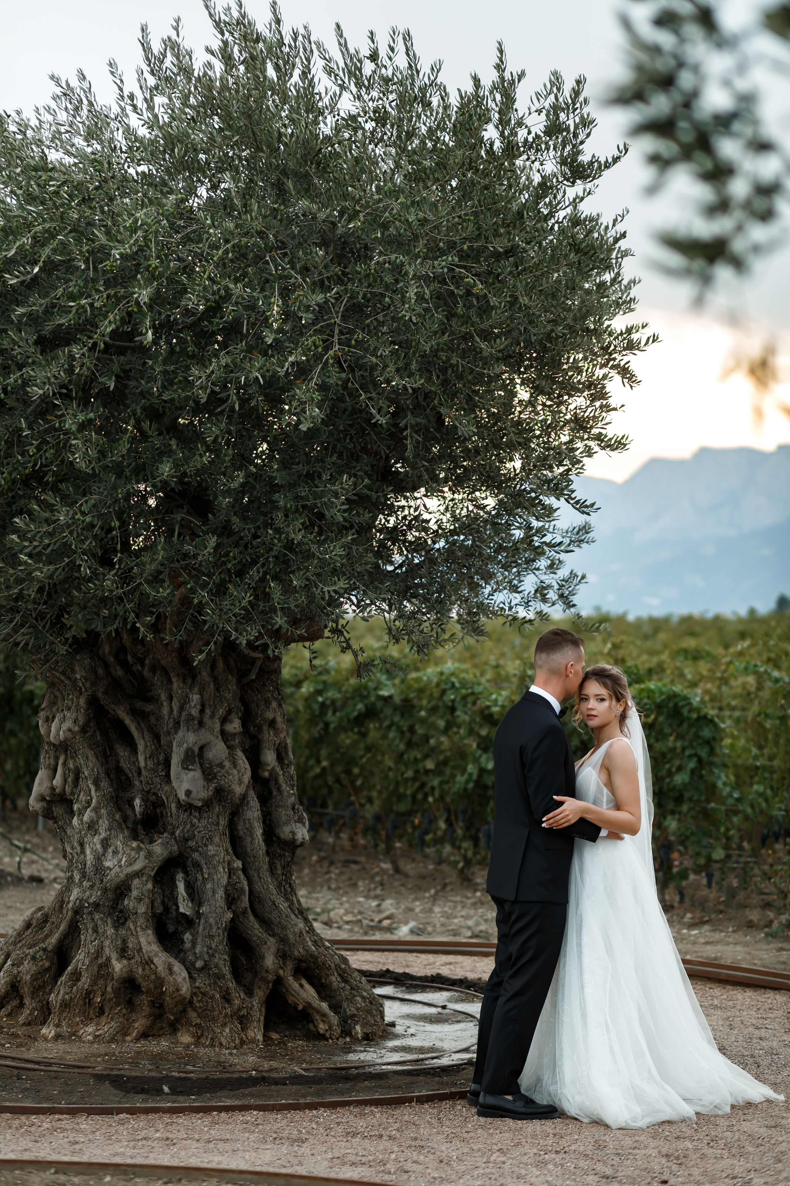 Свадьба в Мрии. Свадебный и семейный фотограф в Крыму и Севастополе Дарья Королева