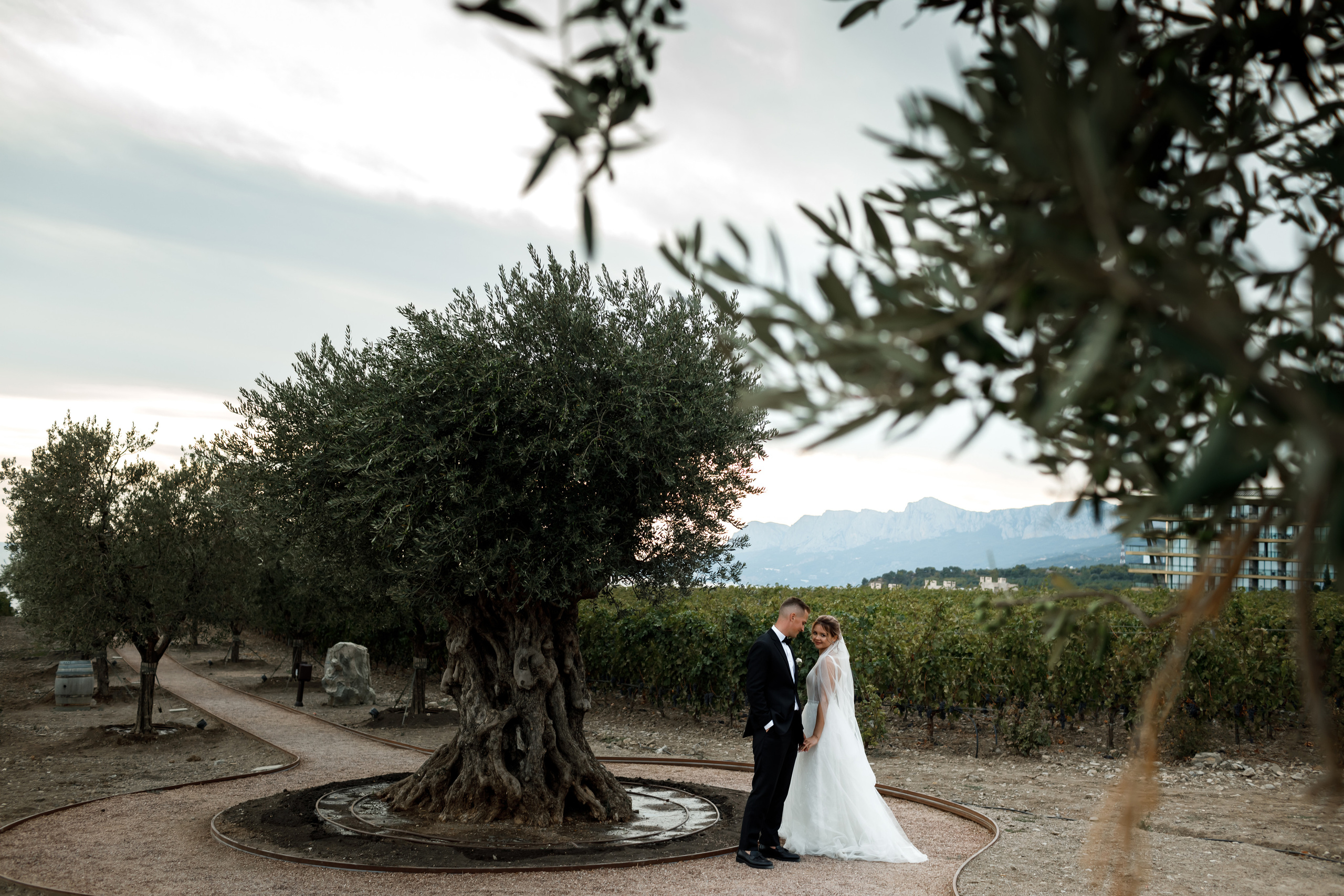 Свадьба в Мрии. Свадебный и семейный фотограф в Крыму и Севастополе Дарья Королева