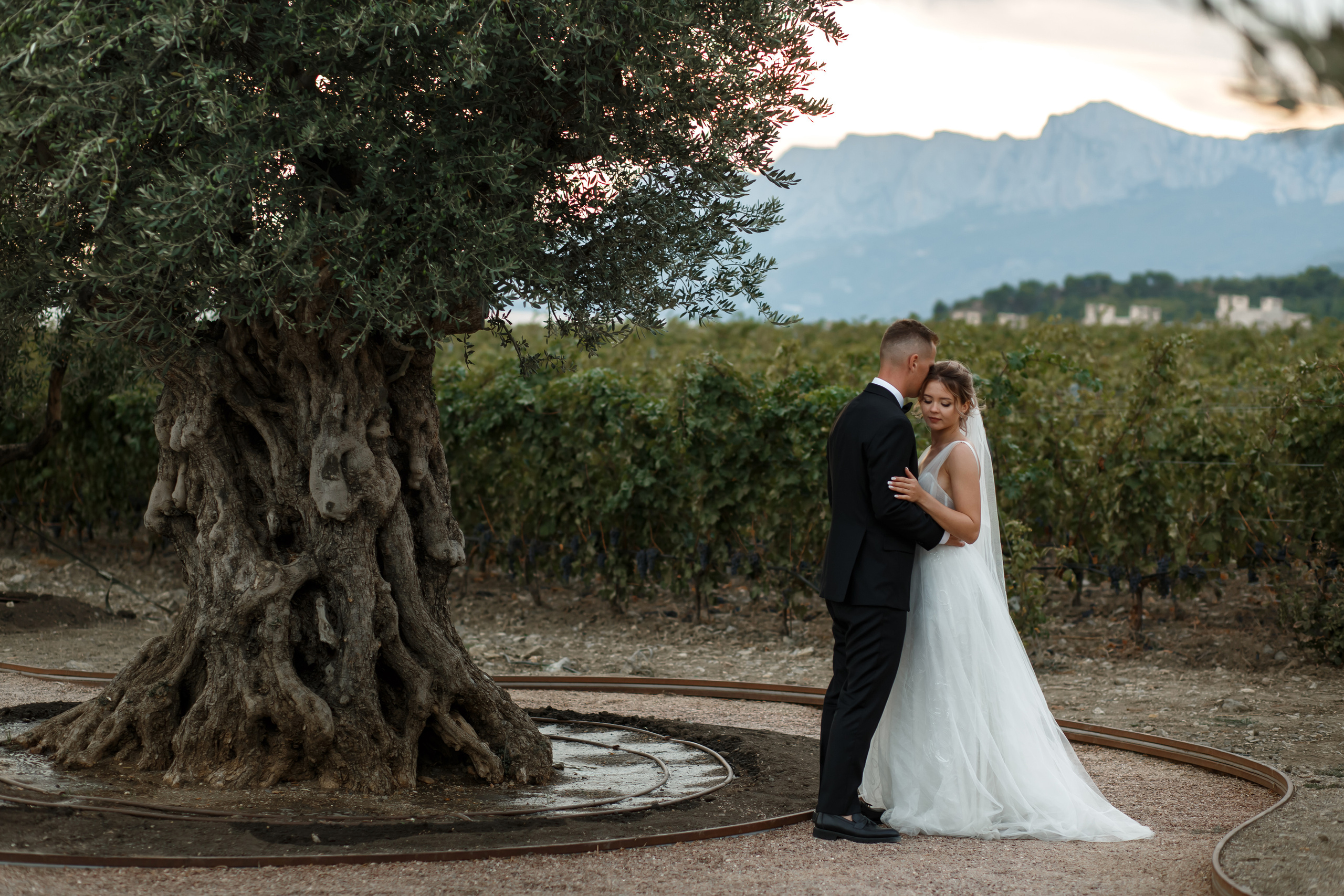 Свадьба в Мрии. Свадебный и семейный фотограф в Крыму и Севастополе Дарья Королева