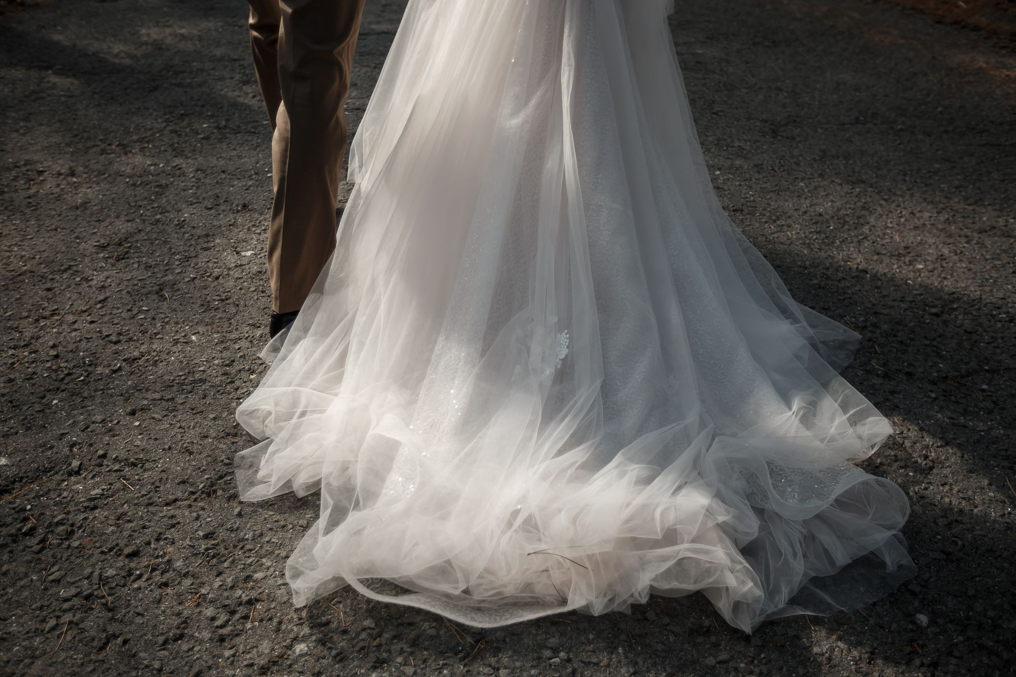 Свадебная прогулка в лесу. Свадебный и семейный фотограф в Крыму и Севастополе Дарья Королева