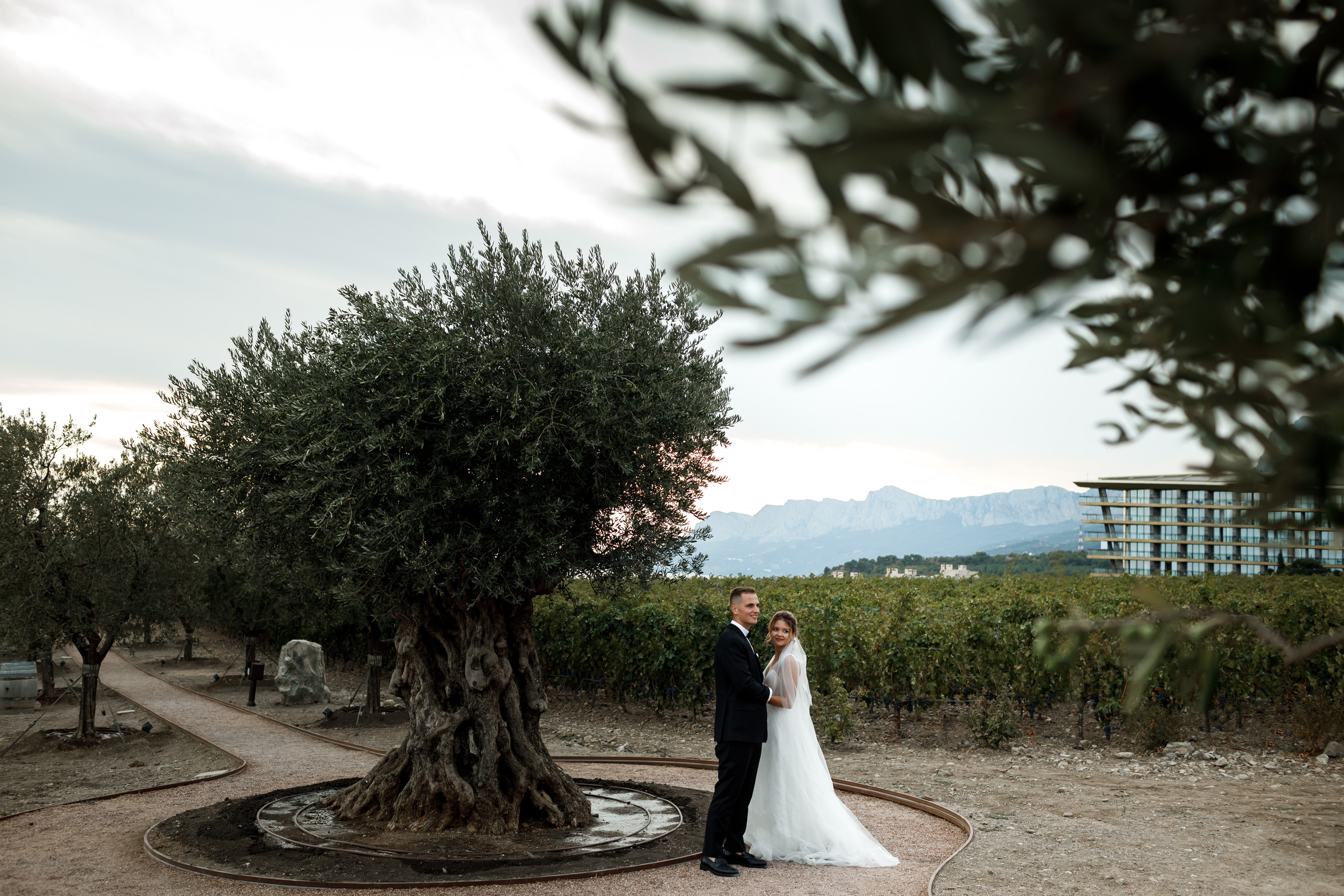 Свадьба в Мрии. Свадебный и семейный фотограф в Крыму и Севастополе Дарья Королева