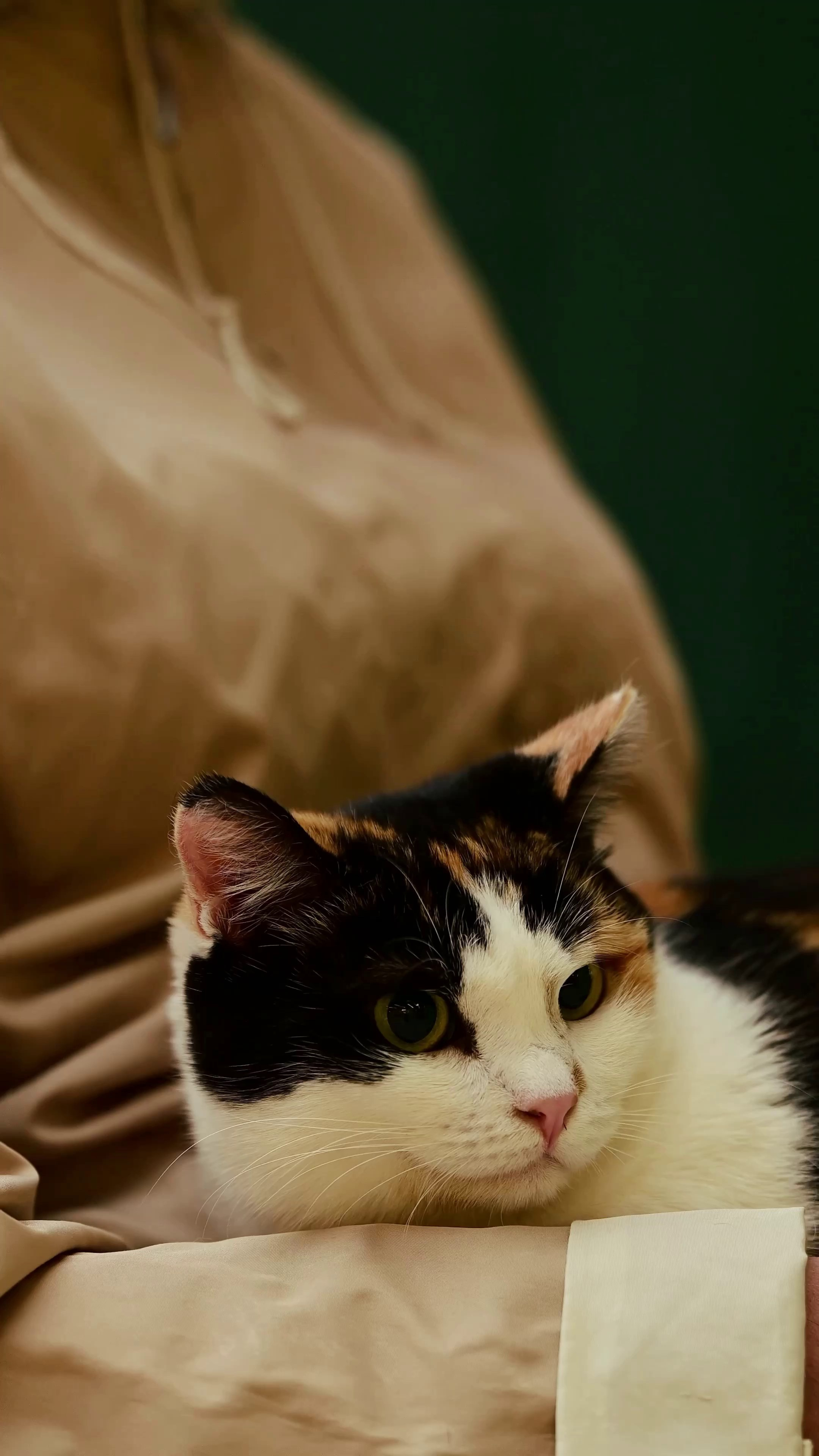 Съёмка для волонтёров (видео). Мила Астахова