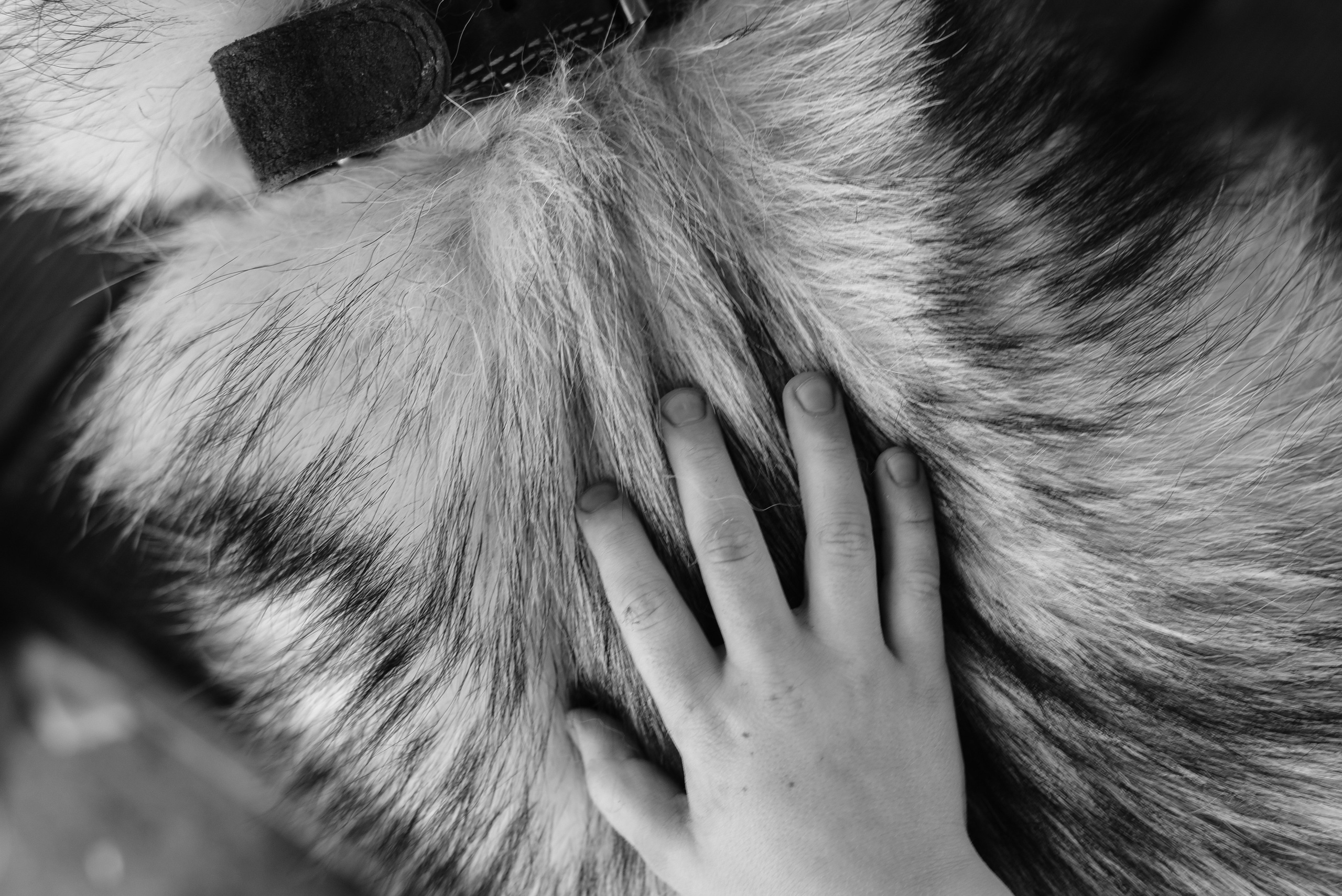 Берег, рак и капибара. Детский и семейный фотограф в Новосибирске Саша Дорошенко