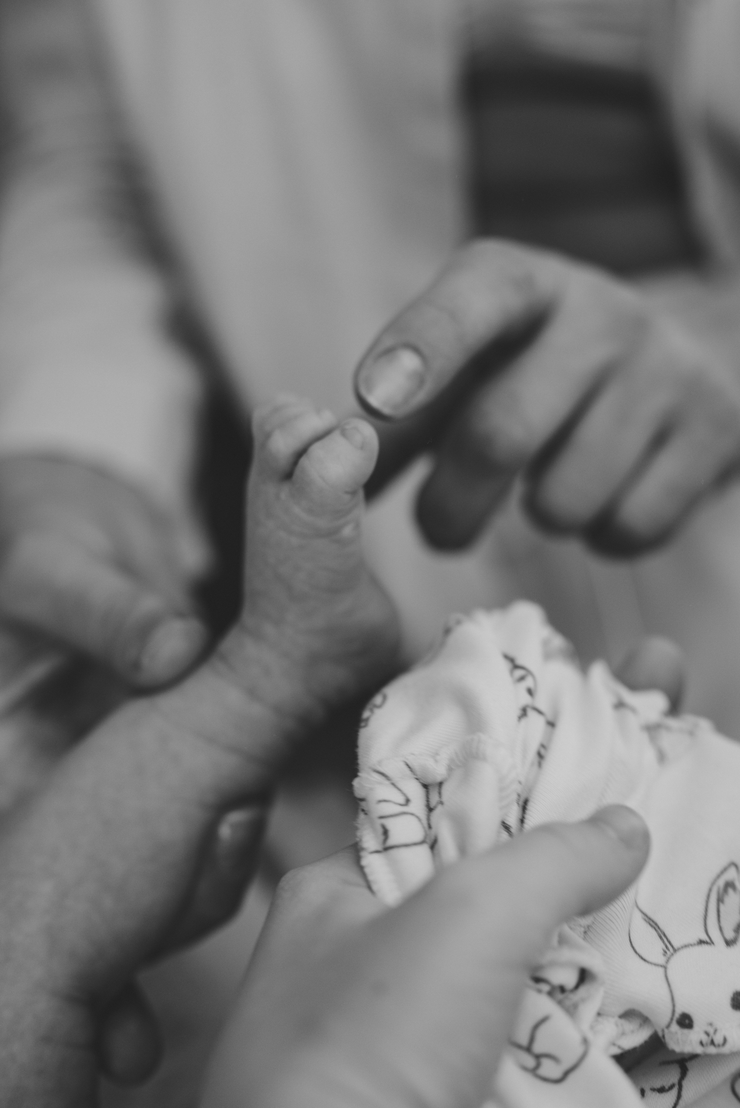 Ольга, Виктория и Вероника. Семейный фотограф в Москве Дарья Пузикова