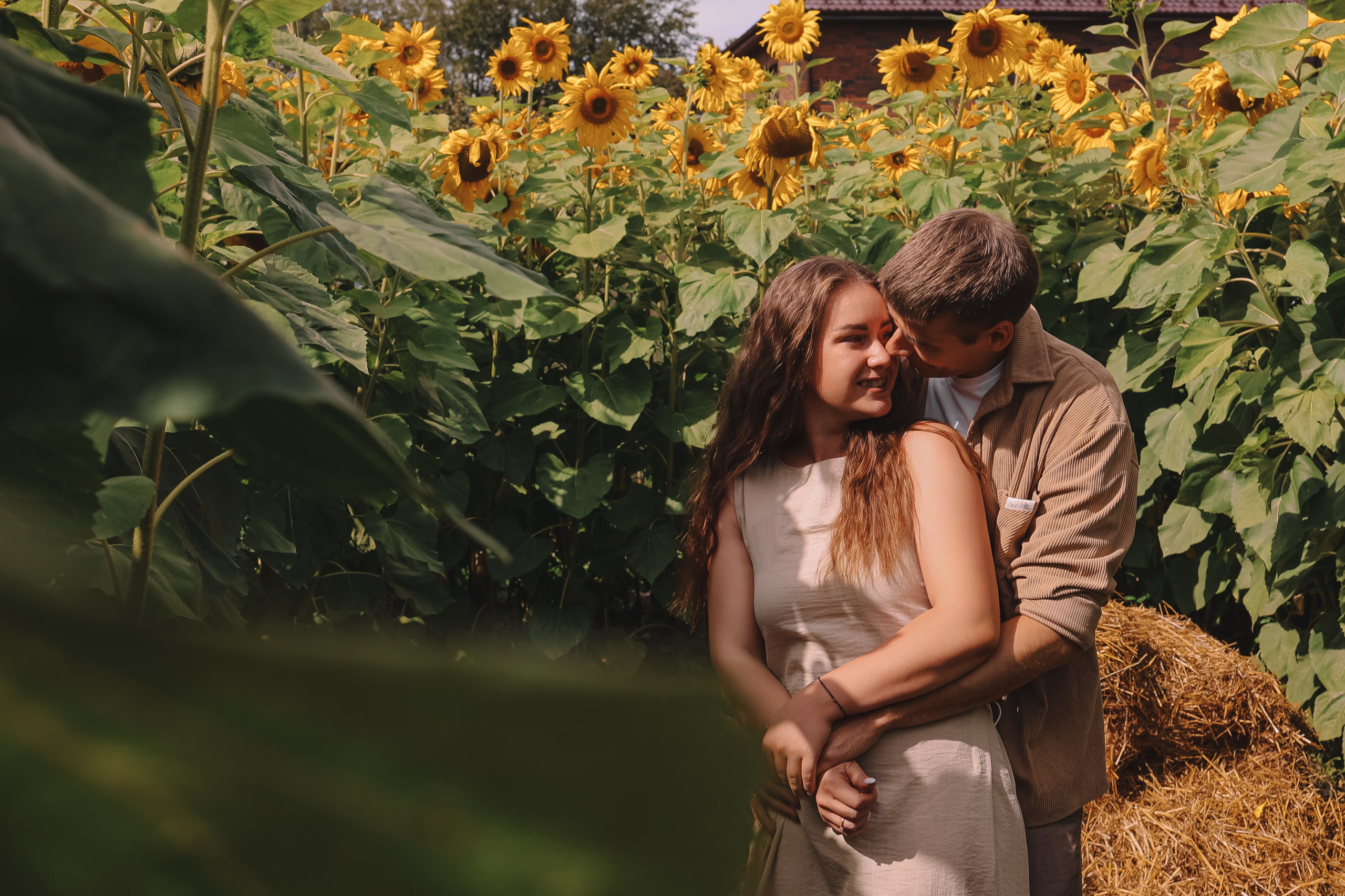 Подсолнухи. Семейный фотограф Тюмень, фотограф на роды Салмина Мария