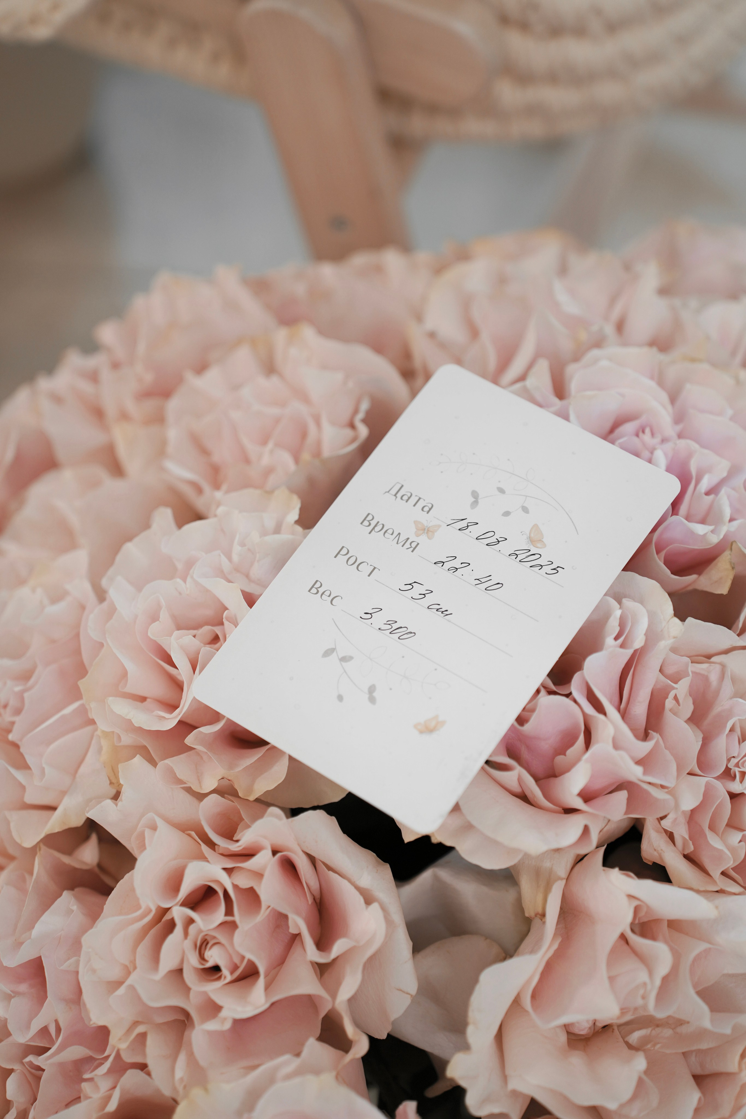 Выписка из роддома. Универсальный фотограф в Геленджике Сидорина Кристина