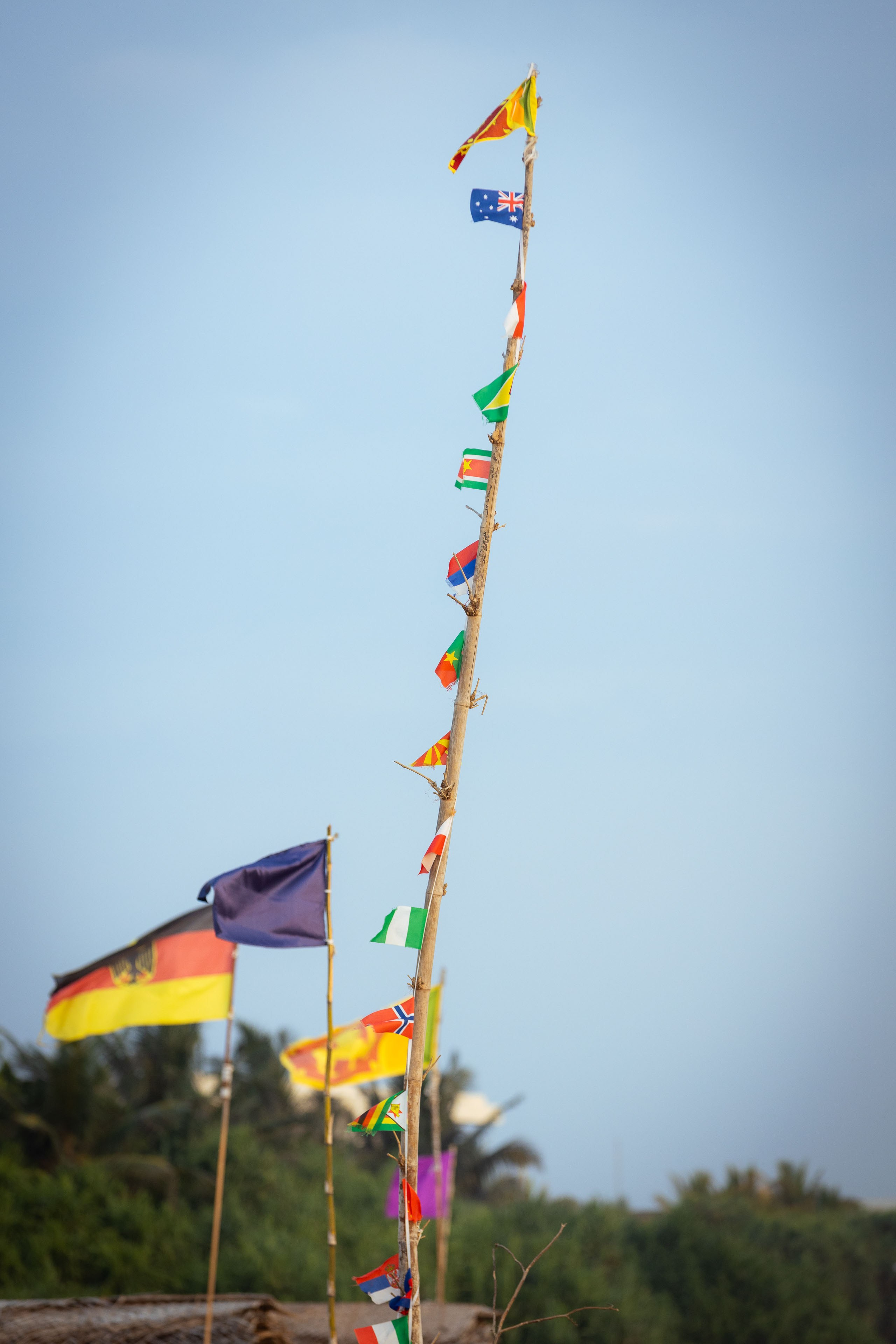 Шри-Ланка (весна 2024). Фотограф Виноградов Константин