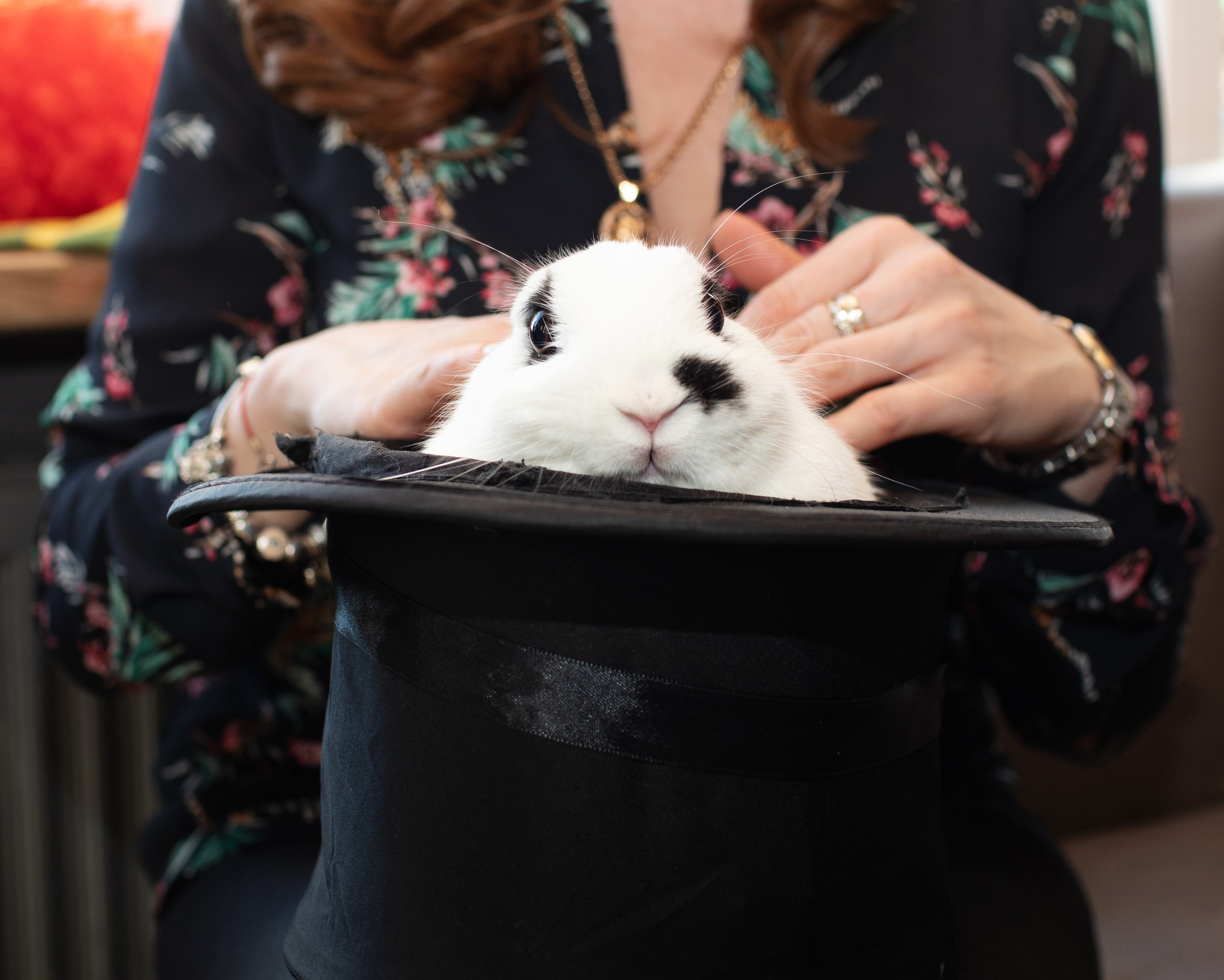 День рождения Элизабет. Фотограф в Санкт-Петербурге