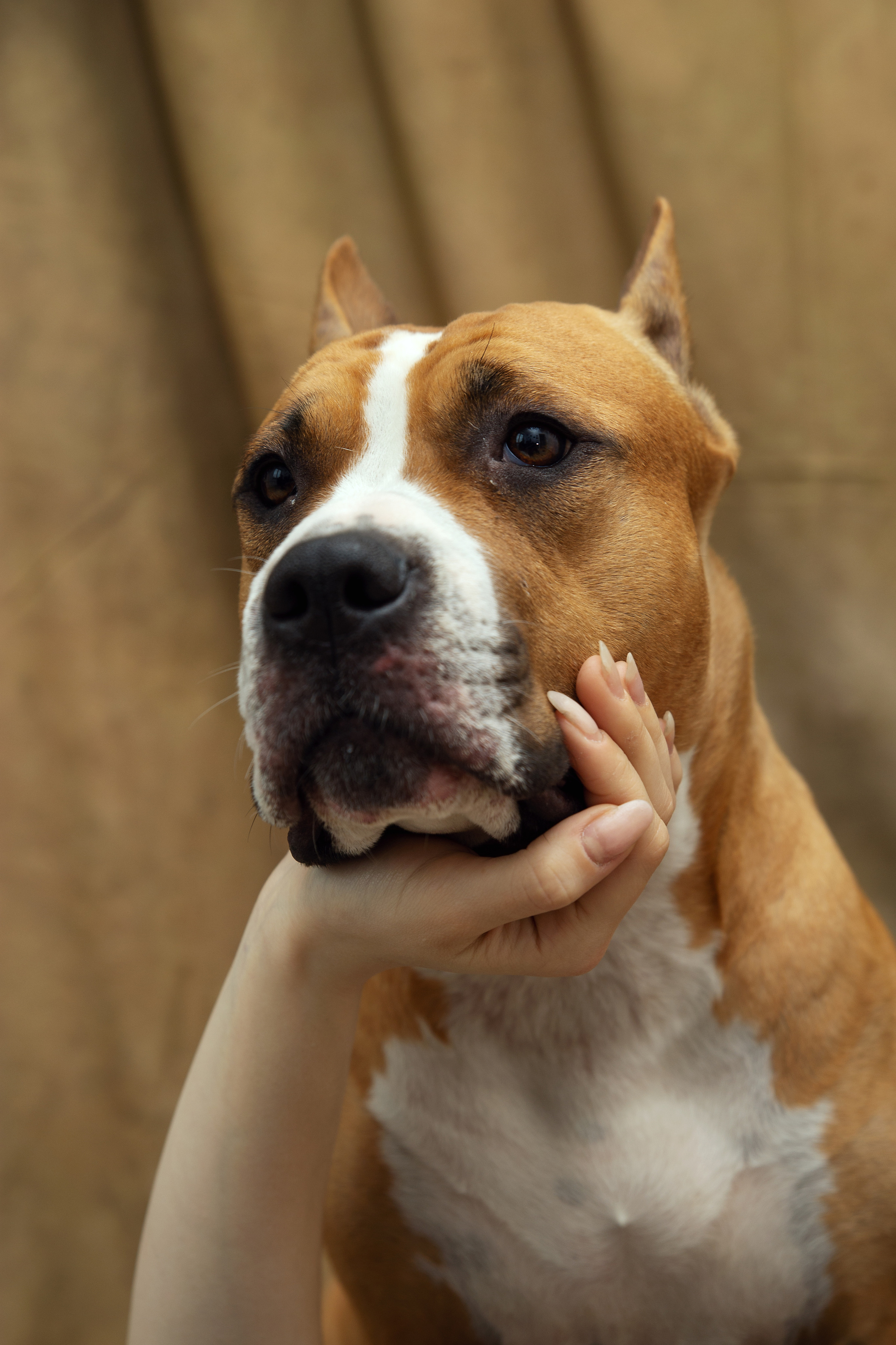 Кристина и Дора. Фотограф в Санкт-Петербурге