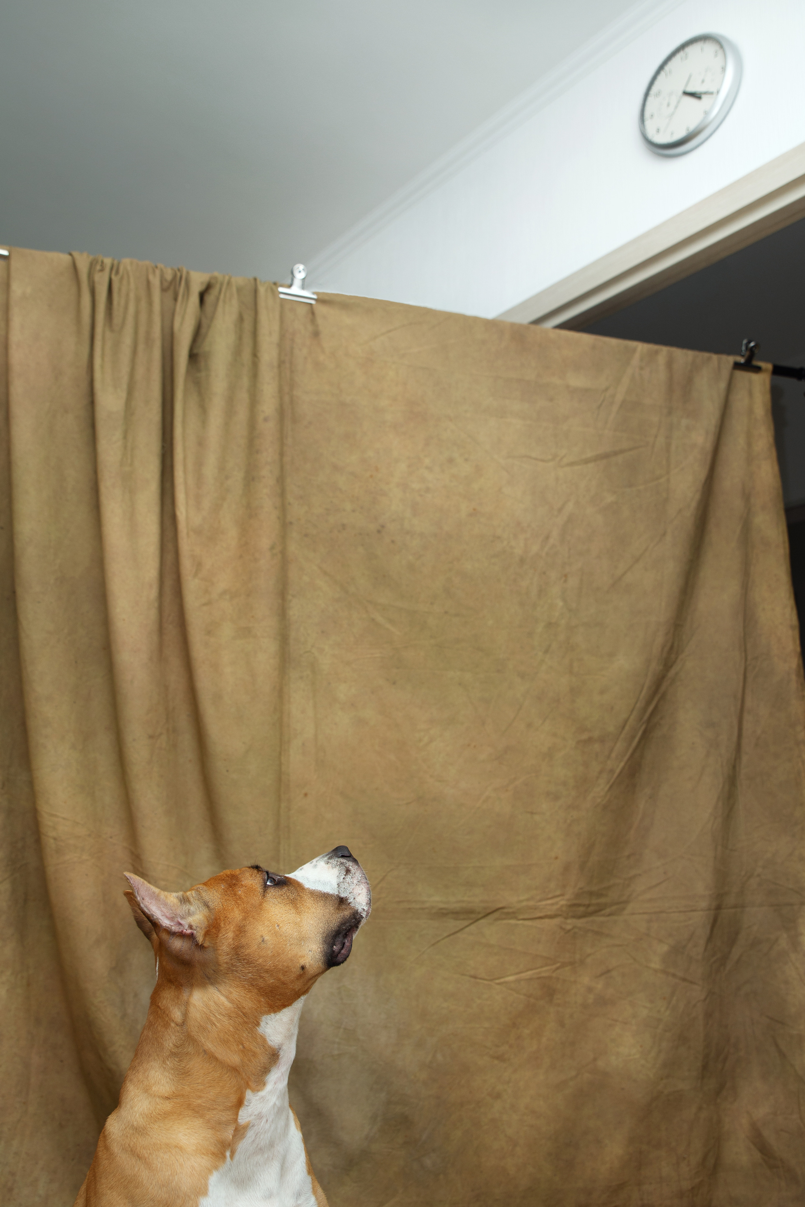 Кристина и Дора. Фотограф в Санкт-Петербурге