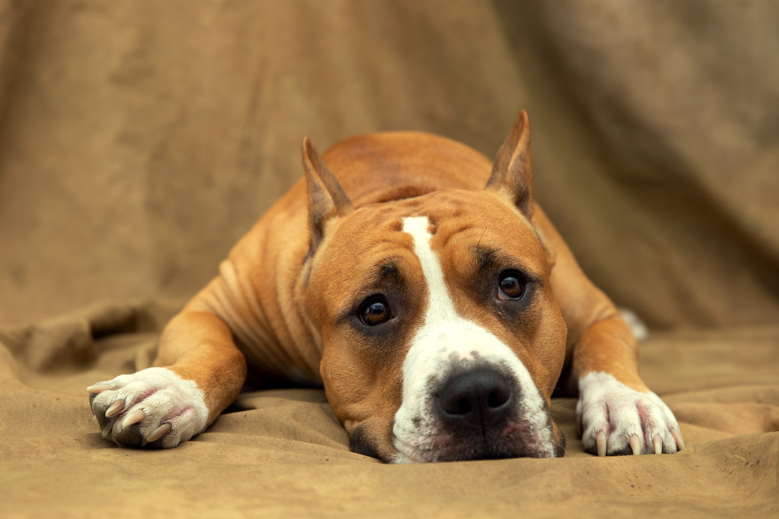 Кристина и Дора. Фотограф в Санкт-Петербурге