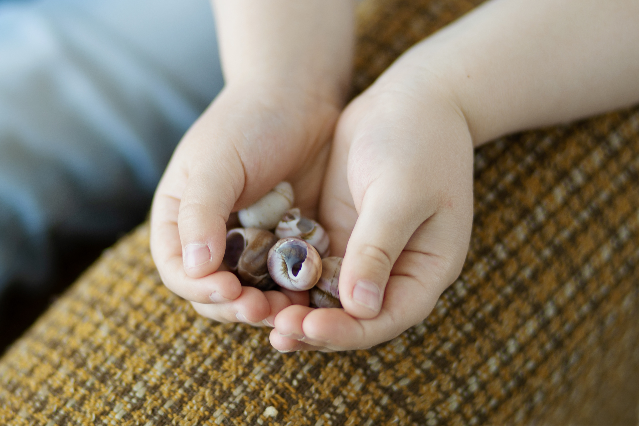 Семья Григорьевых. Фотограф в Санкт-Петербурге
