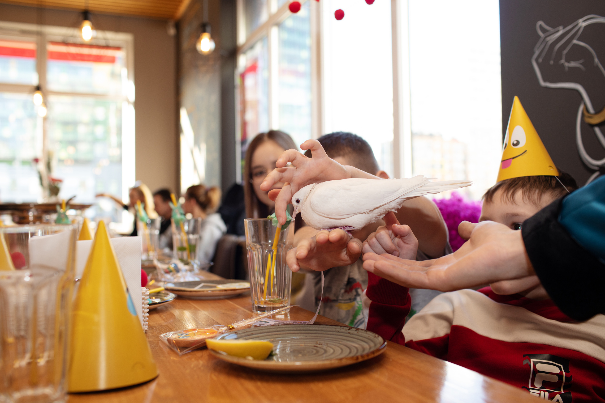 День рождения Элизабет. Фотограф в Санкт-Петербурге