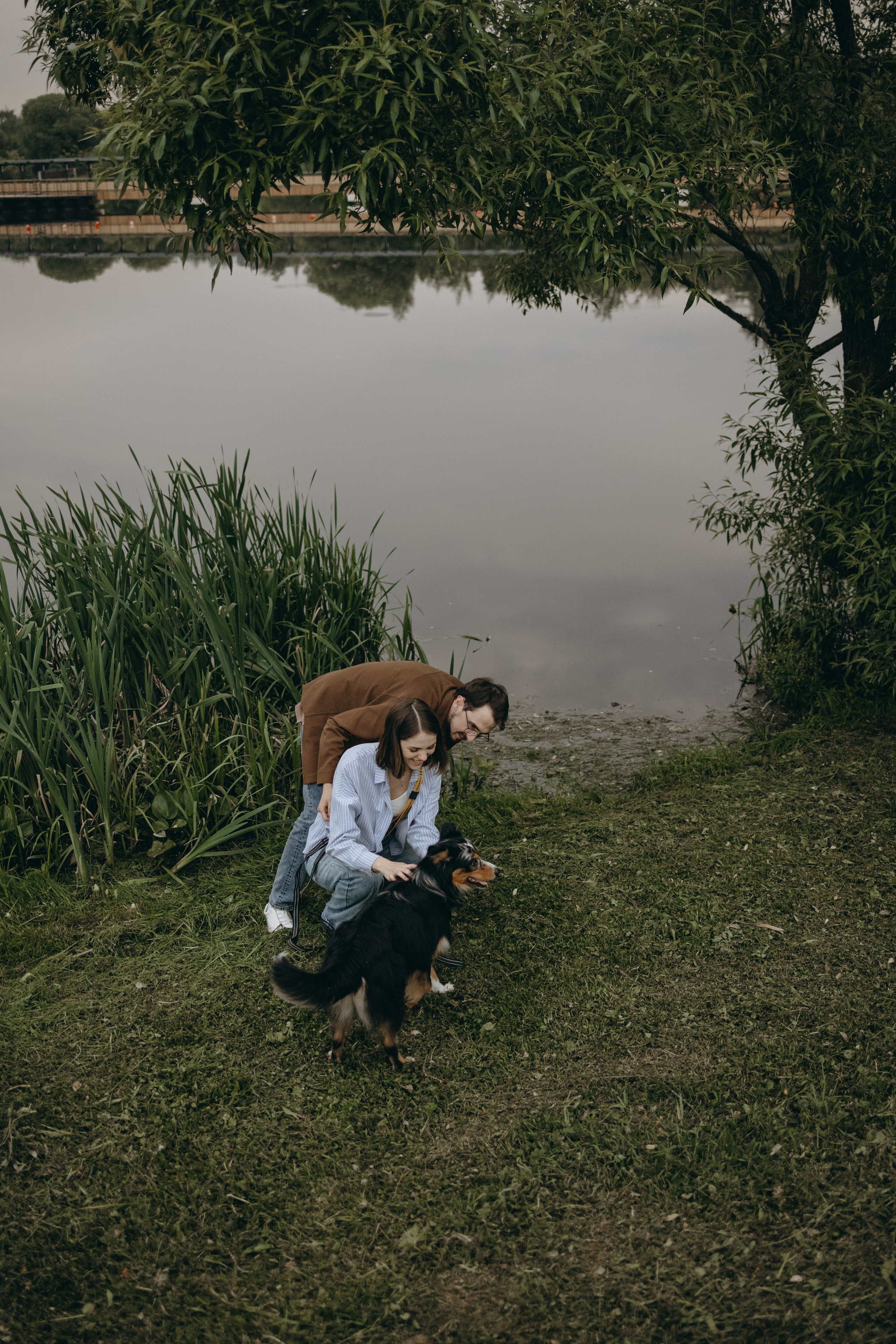 Настя, Никита и их Гром и Мяу. Фотограф — Анималист | Санкт-Петербург