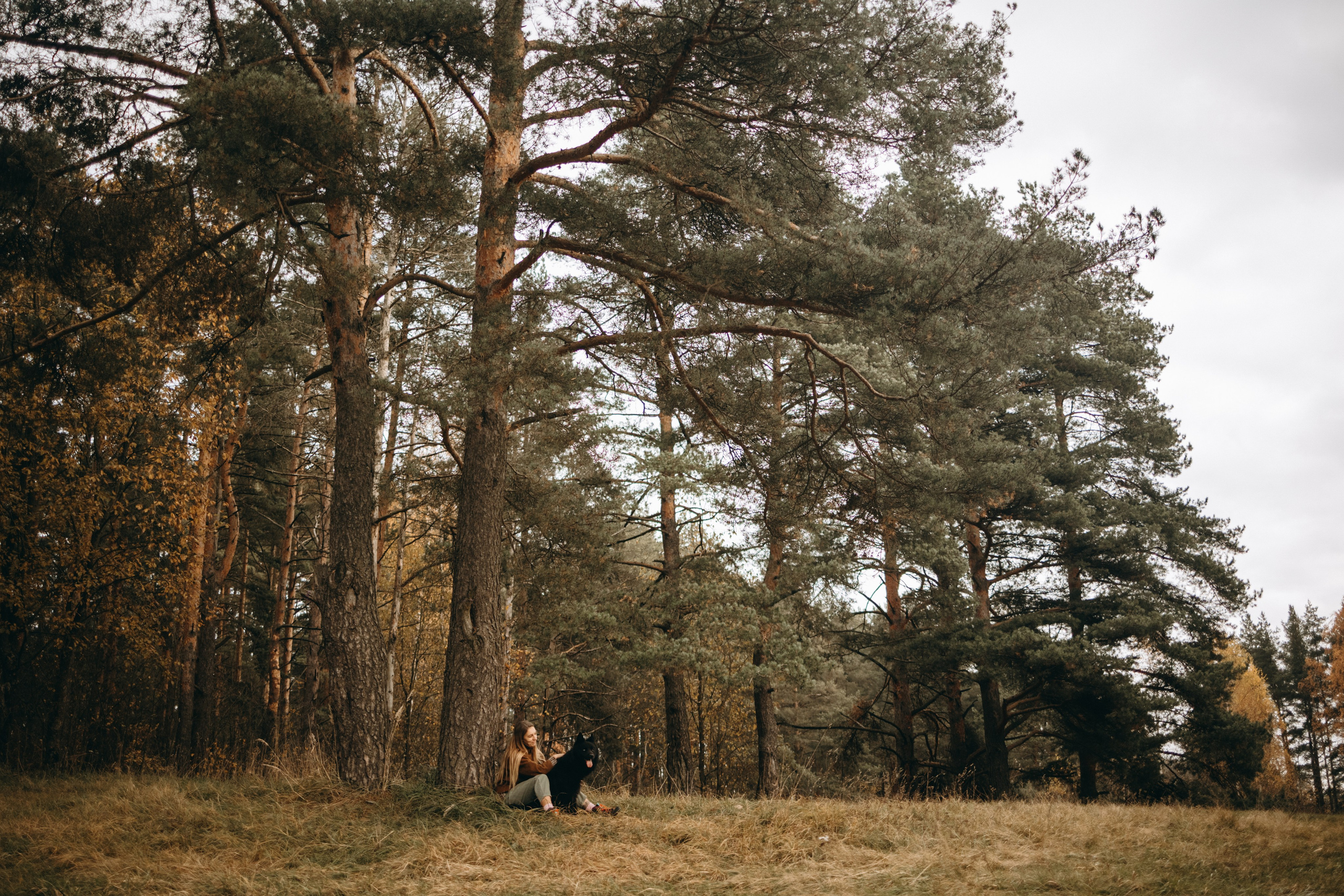 Лора и Джанго. Фотограф — Анималист | Санкт-Петербург