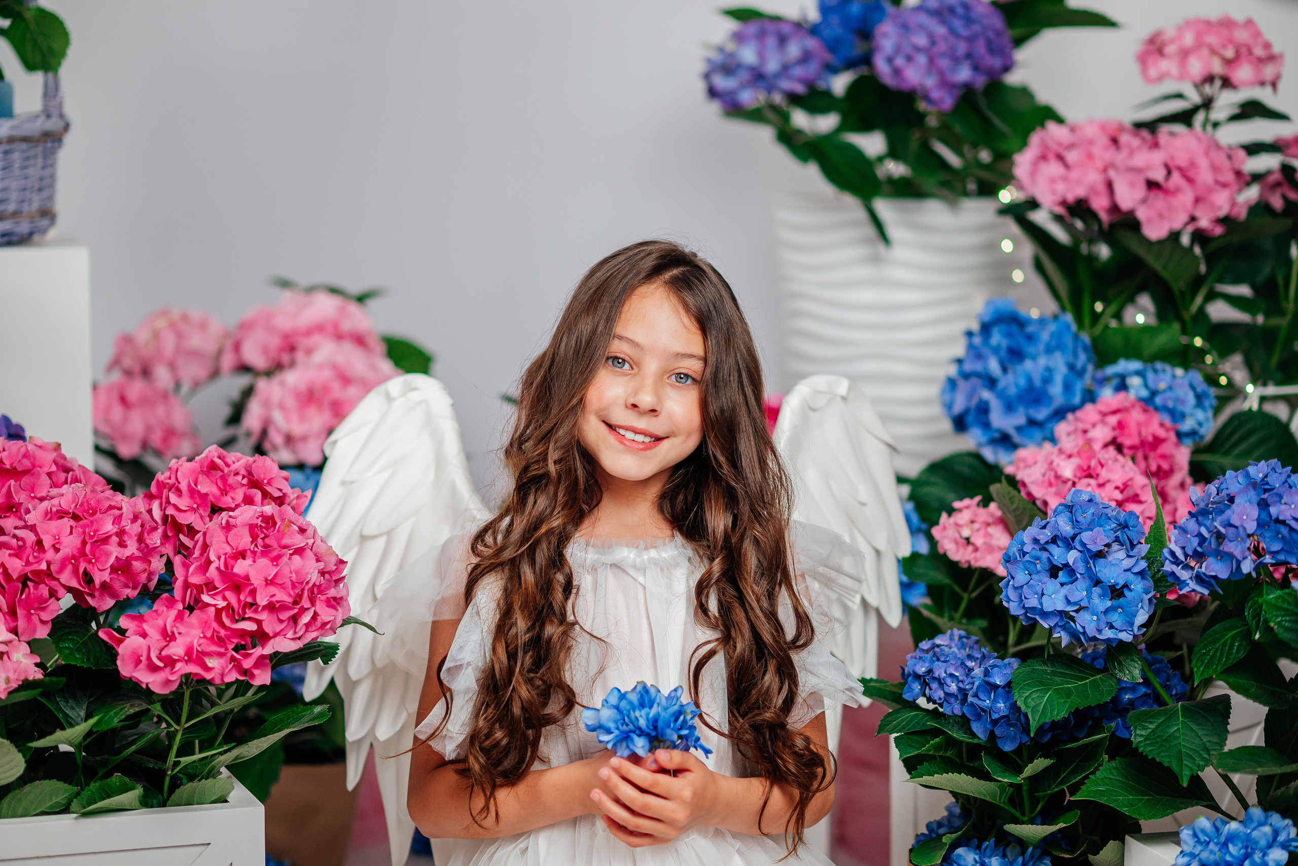 Вероника и гортензии. Семейный фотограф в Краснодаре