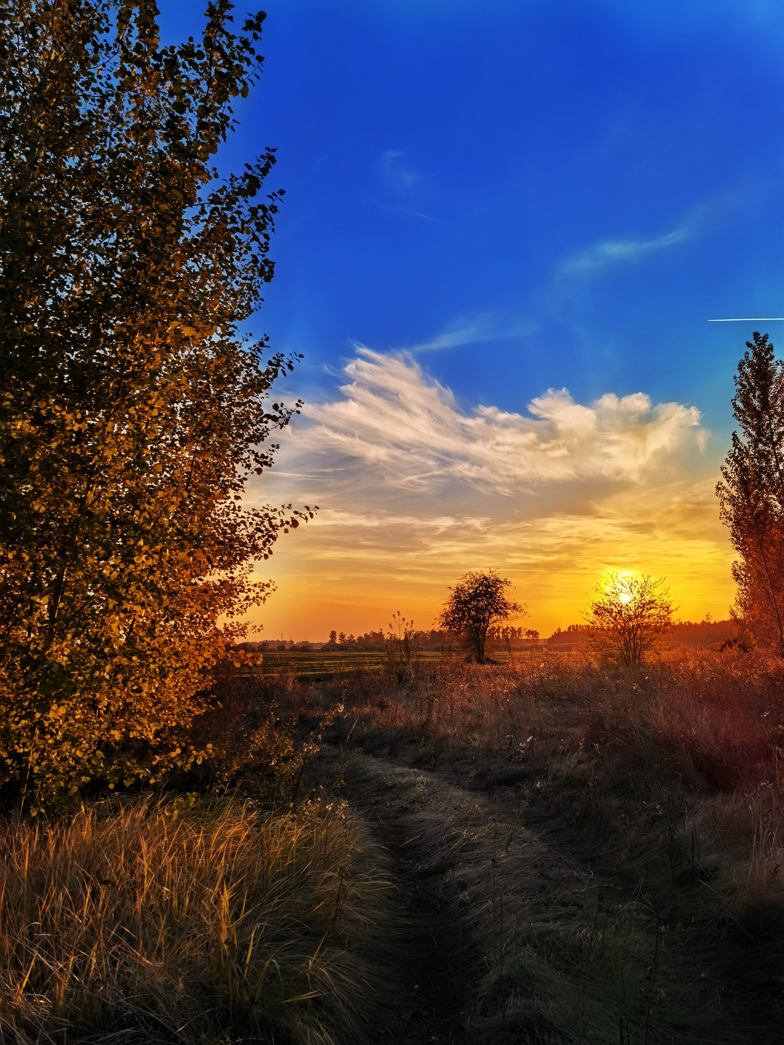 Стрит и пейзажи. Главная