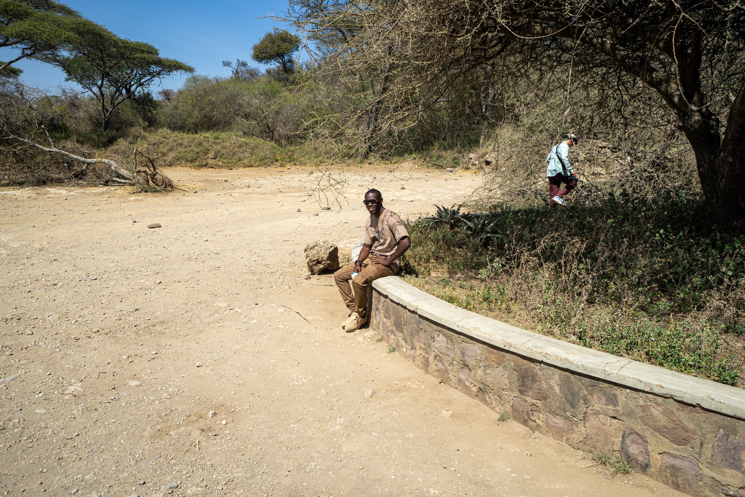 Танзания, сафари, 2025. Творческие сьемки