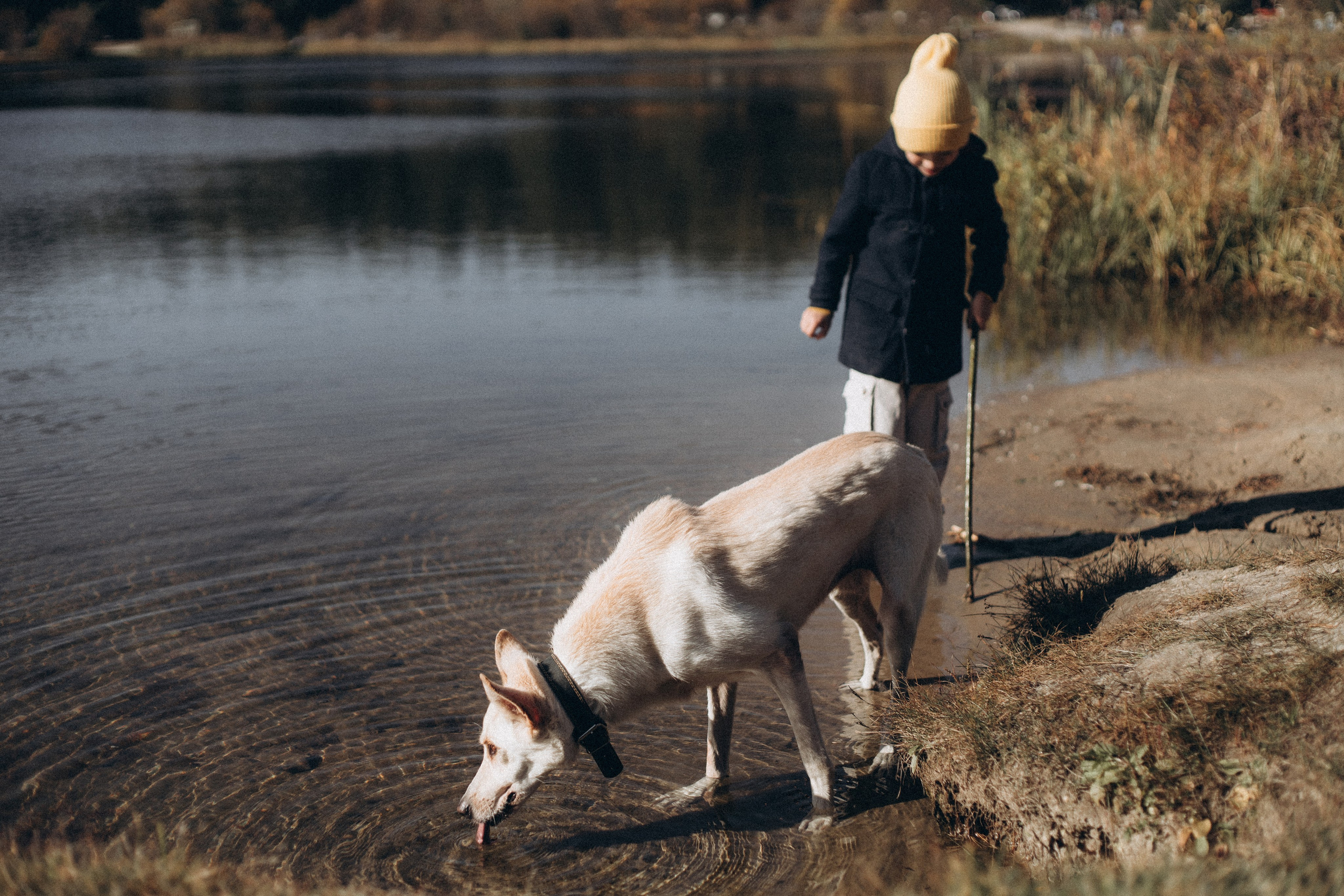 Ksenia & George. Фотограф в Москве Диана Малимон