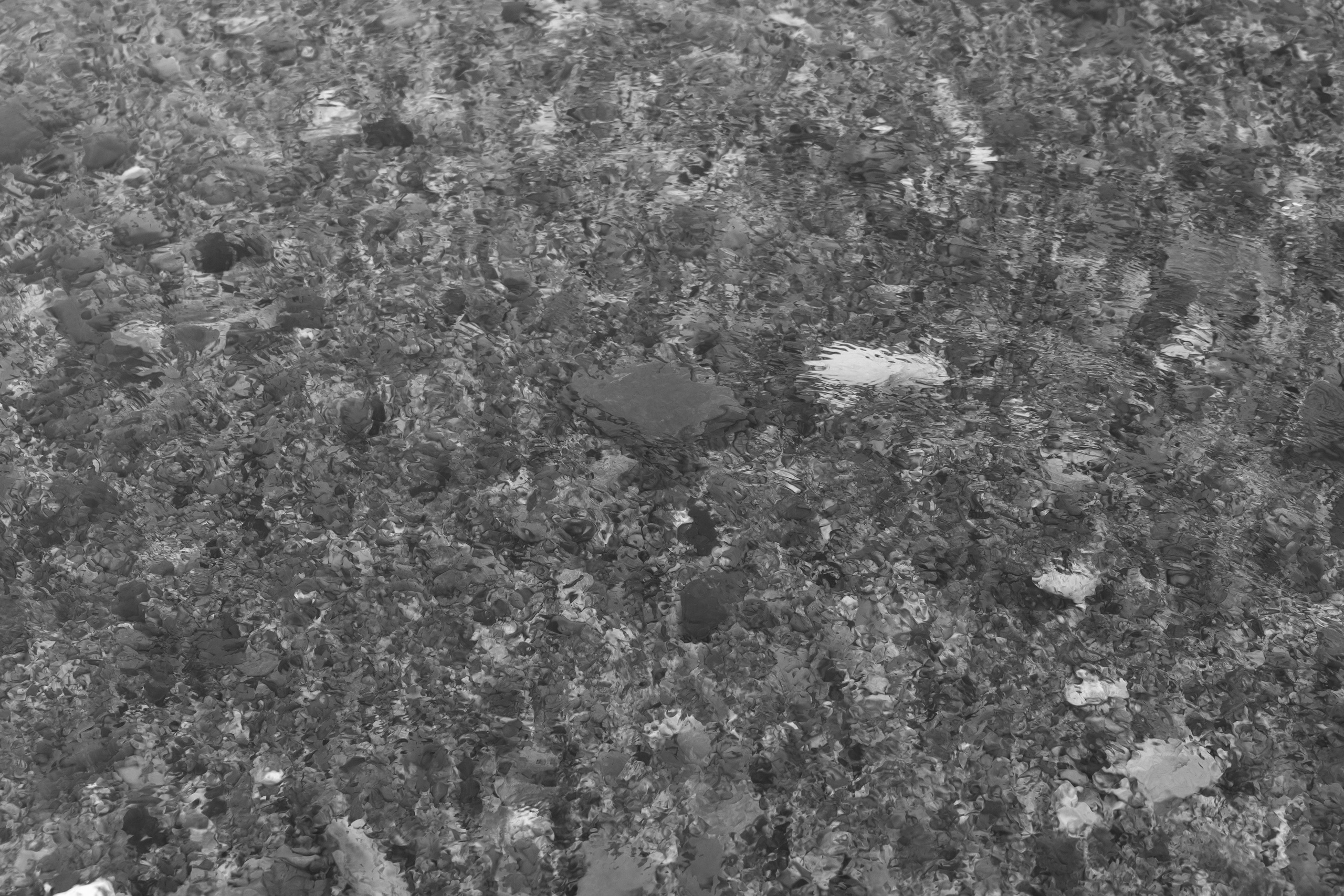 Art prints. Фотограф алина стерхова, алина стерхова фотограф, фотограф москва