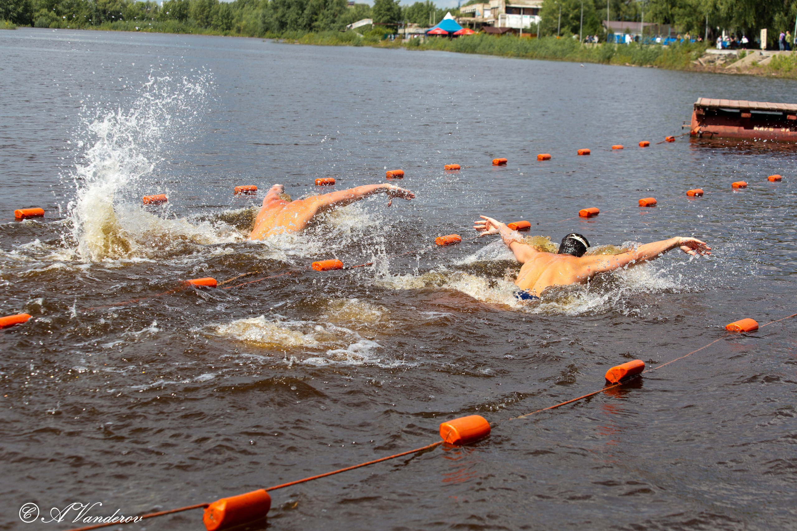 Заплыв 02.06.2024. Фотограф Омск | Александр Вандеров