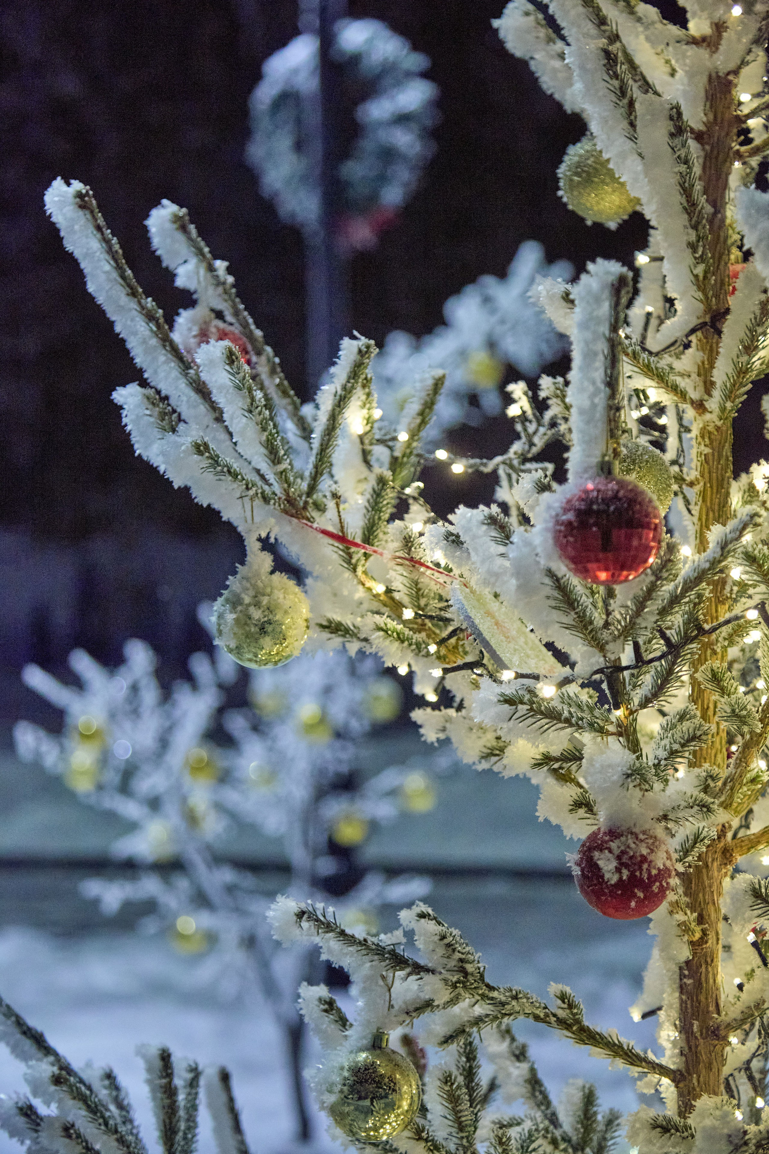 Новогодний Омск 2025. Фотограф Омск | Александр Вандеров