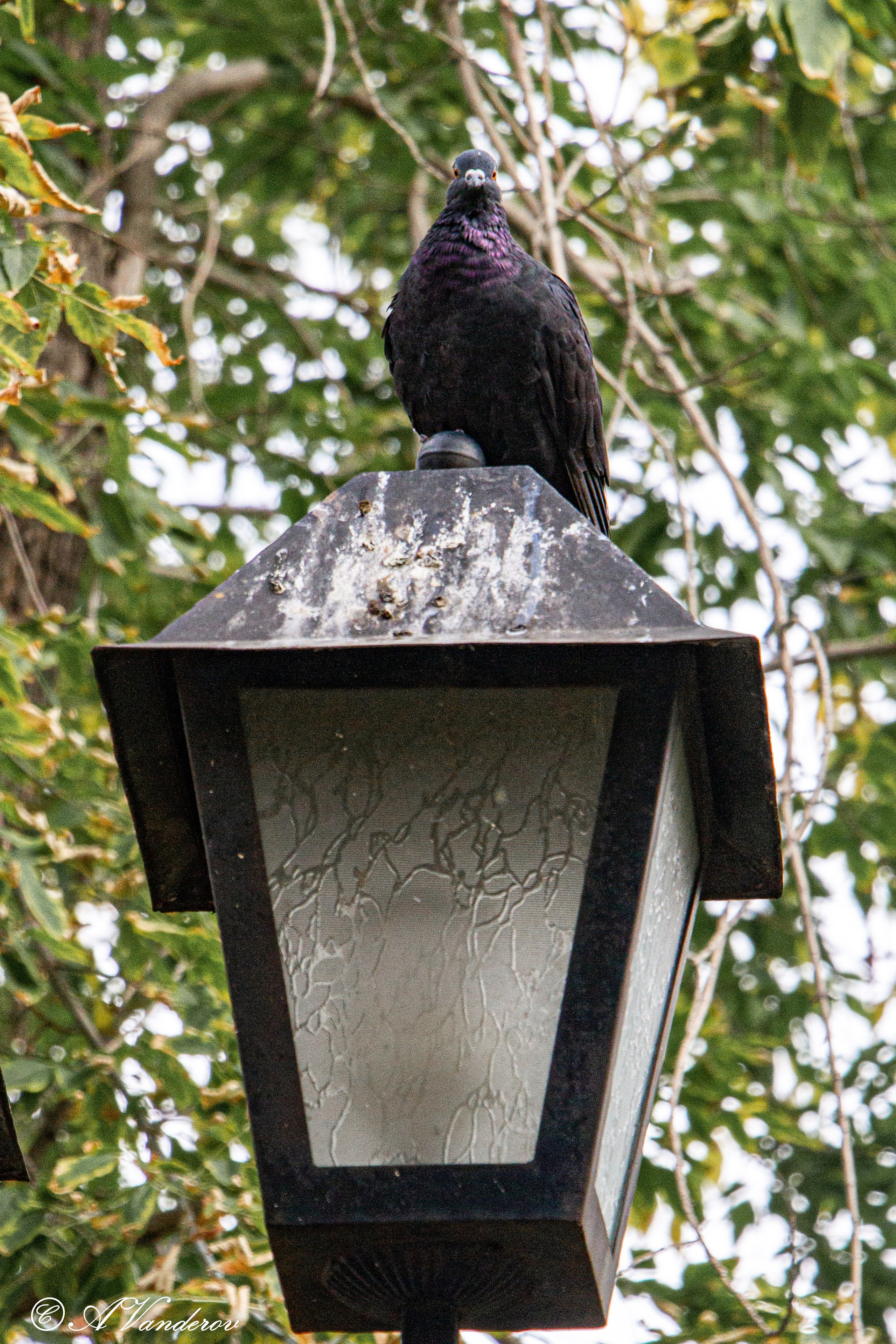 Омск 2023. Фотограф Омск | Александр Вандеров