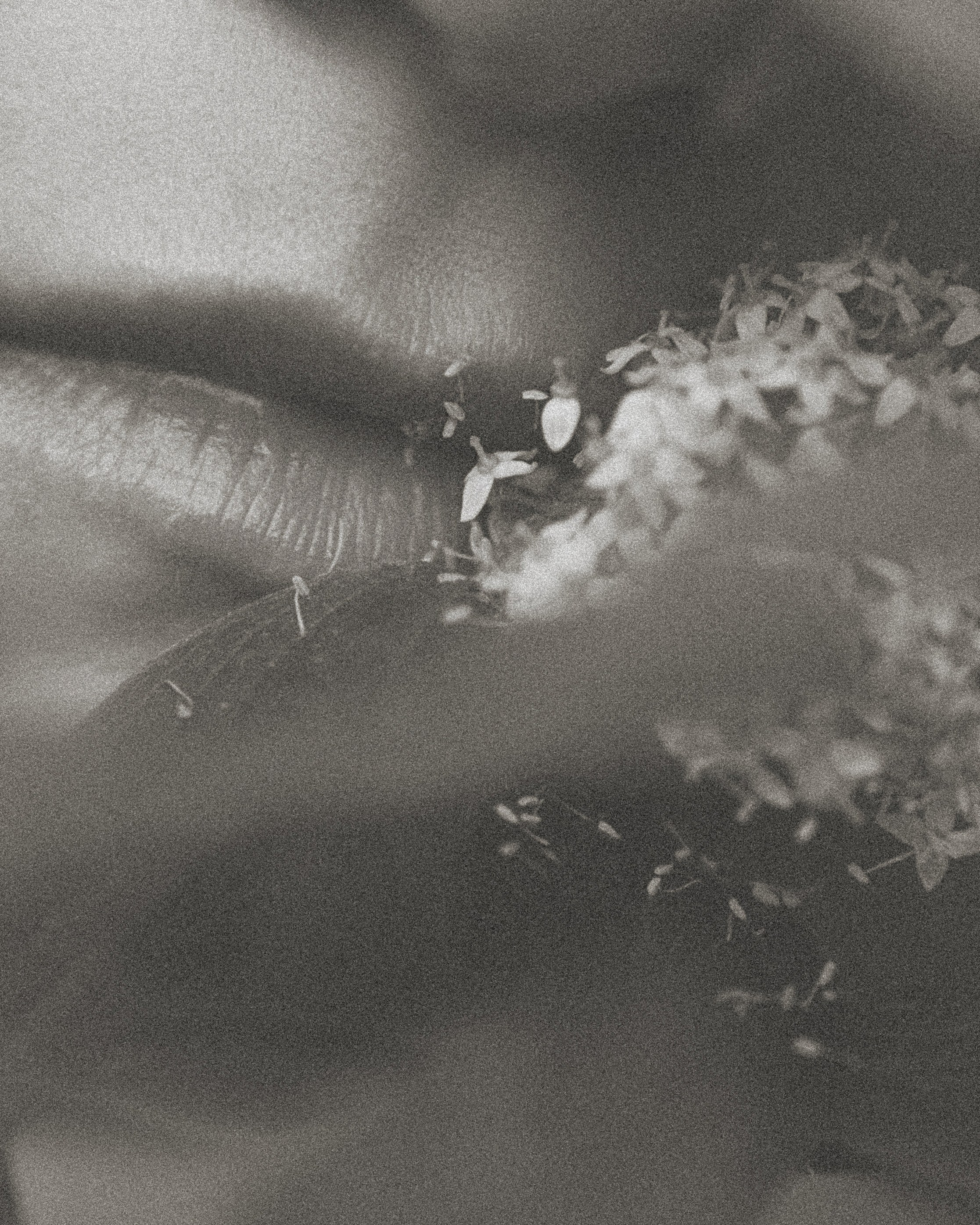 Между маем и июнем. Фотограф Москва Селюкова Юлия