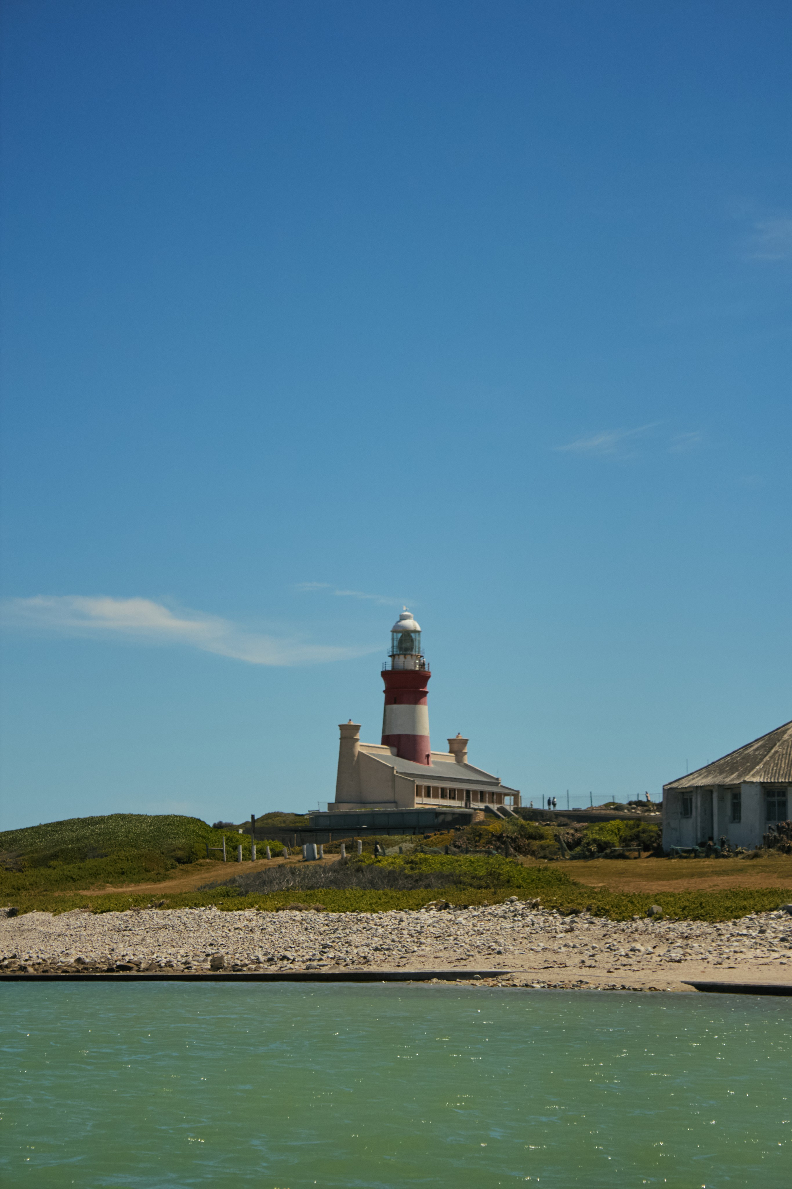 ЮАР. Профессиональный Фотограф во Владимире, в Москве и в Суздале — Полина Романычева