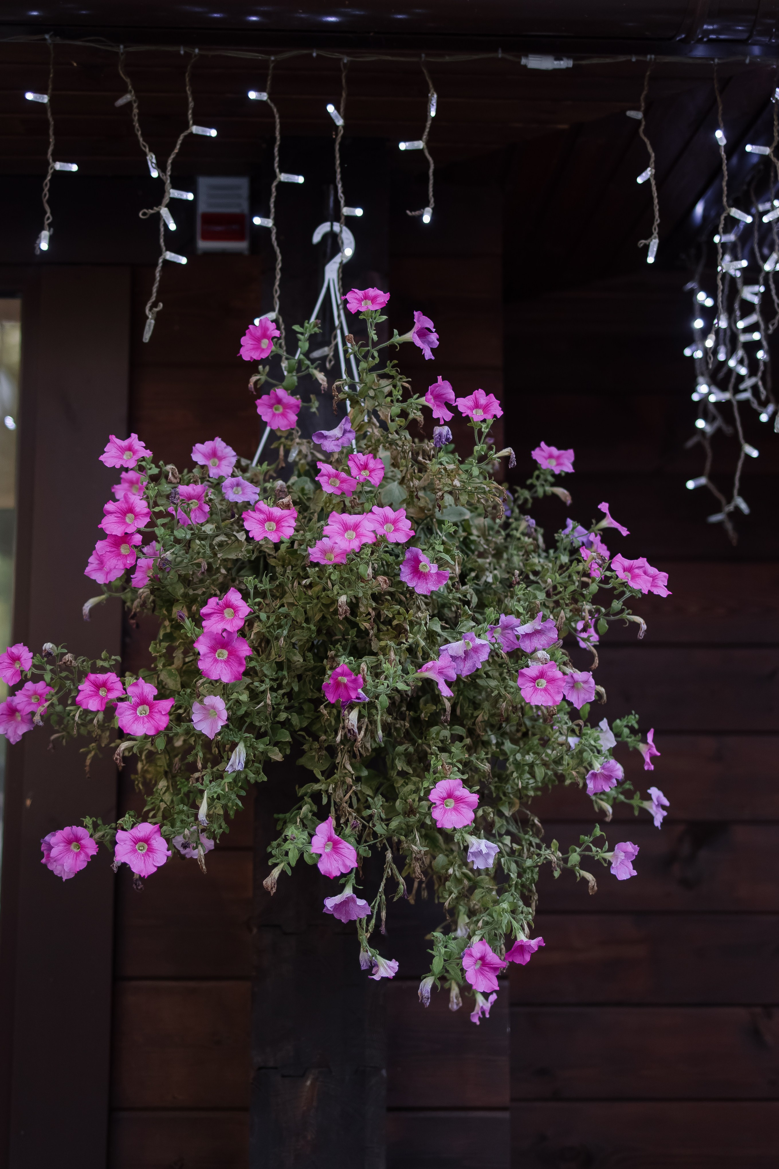 Илья/Влада. Свадебный фотограф