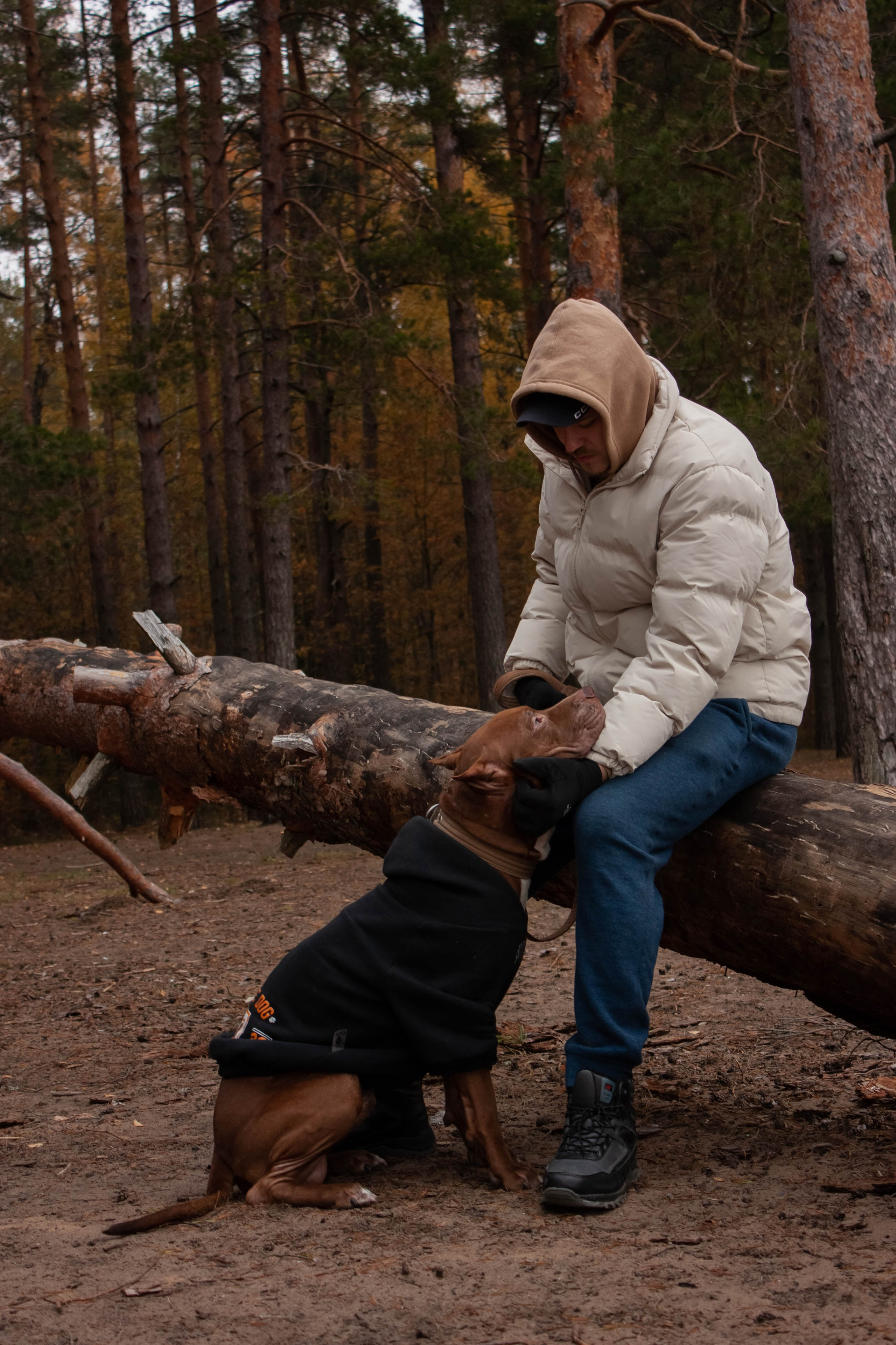 Айрон и Егор. Фотограф-анималист в Санкт-Петербурге Алина Яхонт