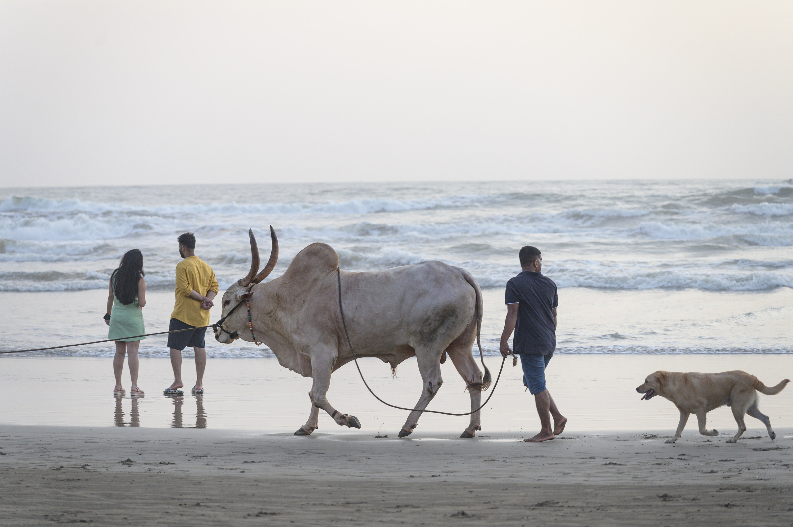 Русские женщины в Гоа