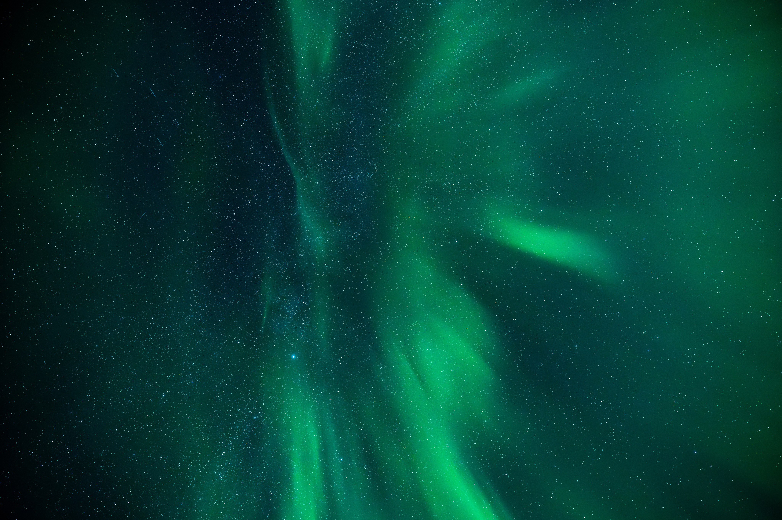 Портфолио. Фотограф Татьяна Борисова