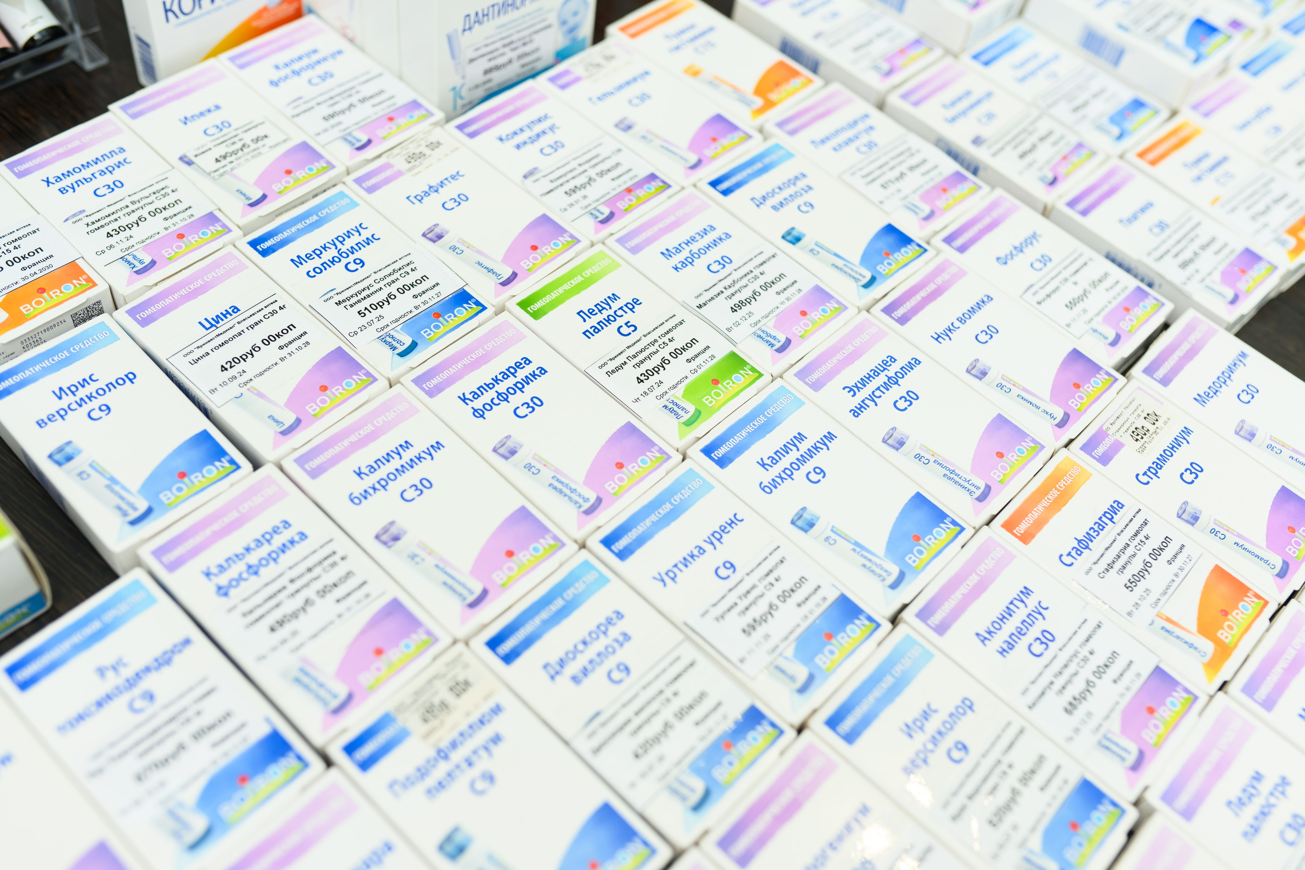 Фотоотчет праздника материнства февраль 2026 г. Профессиональный фотограф Елена Красилина г.Ярославль, г. Рыбинск