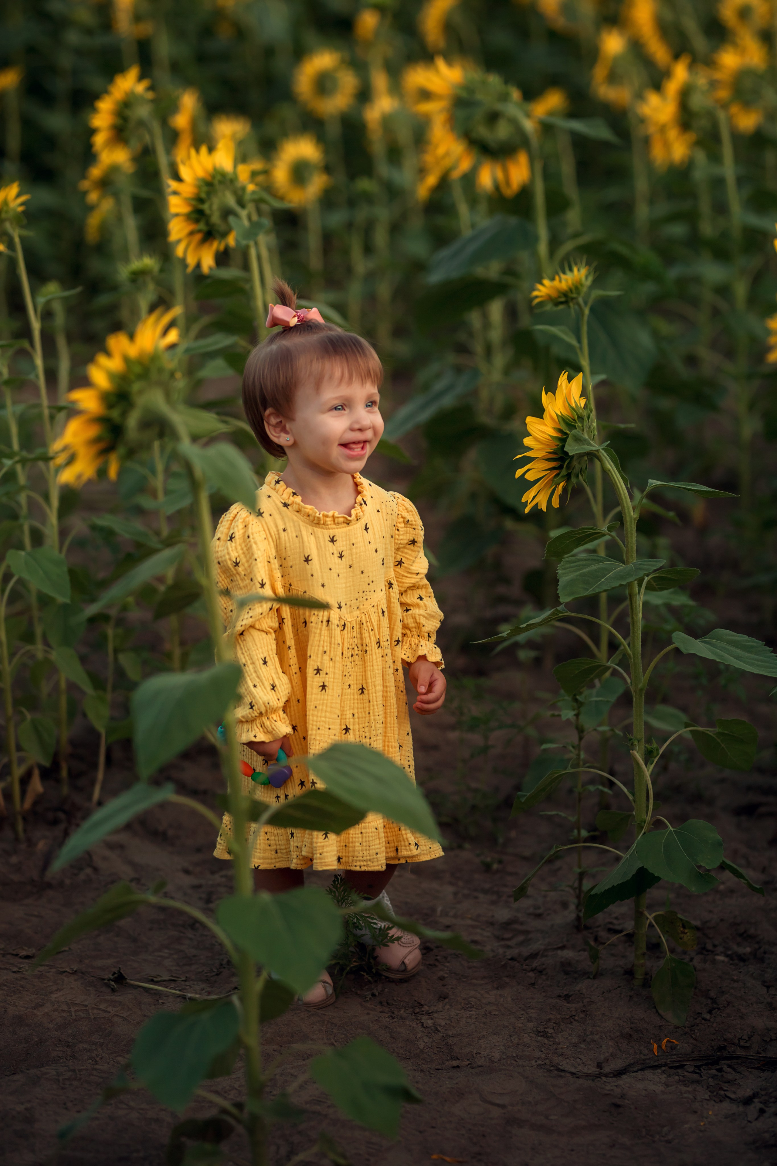 Подсолнухи. Семейный и детский фотограф Екатерина Савёлова